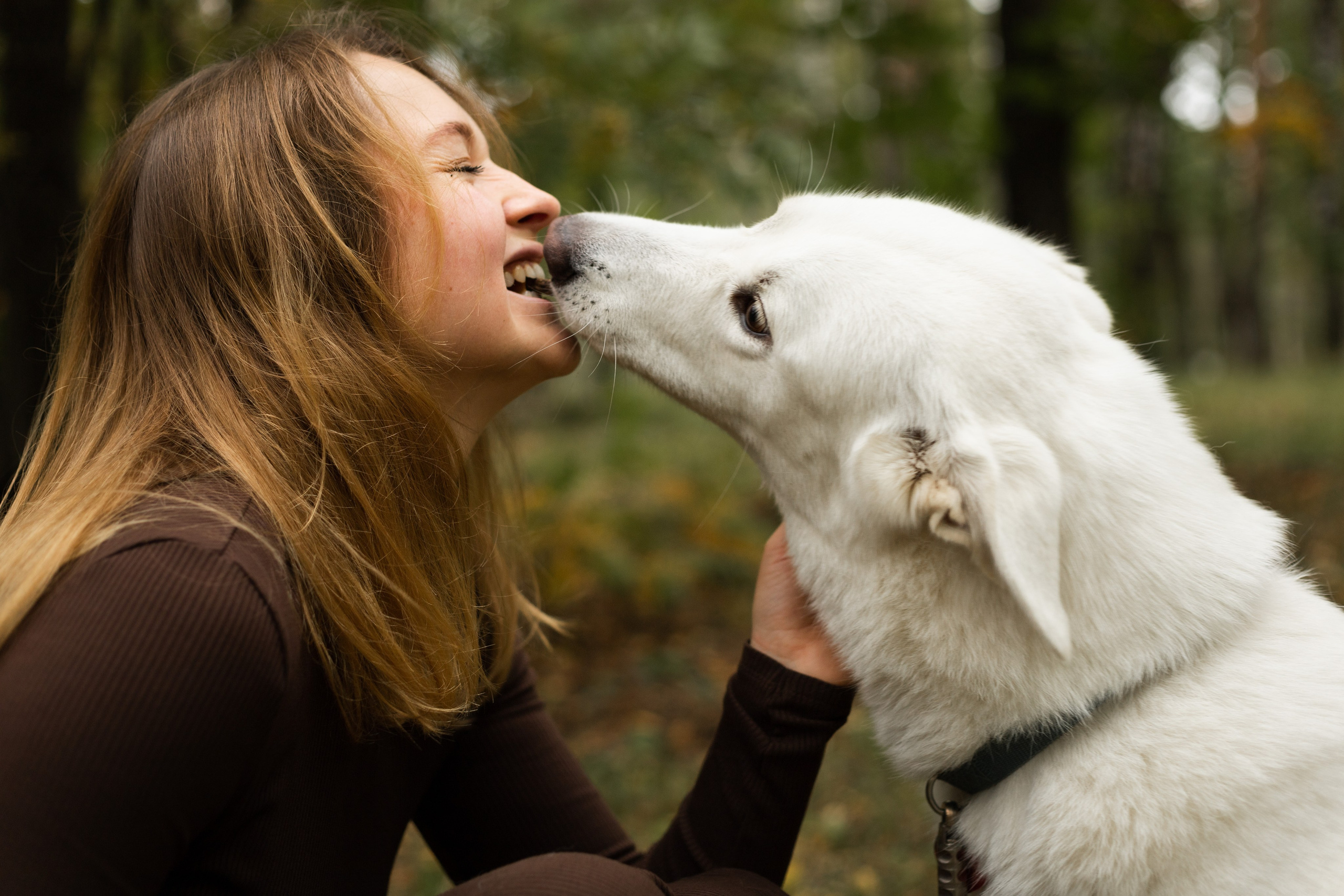 Таня и Зефирка. Фотосессия в парке с собакой. Семейный и детский фотограф в Санкт-Петербурге Павлова Елена