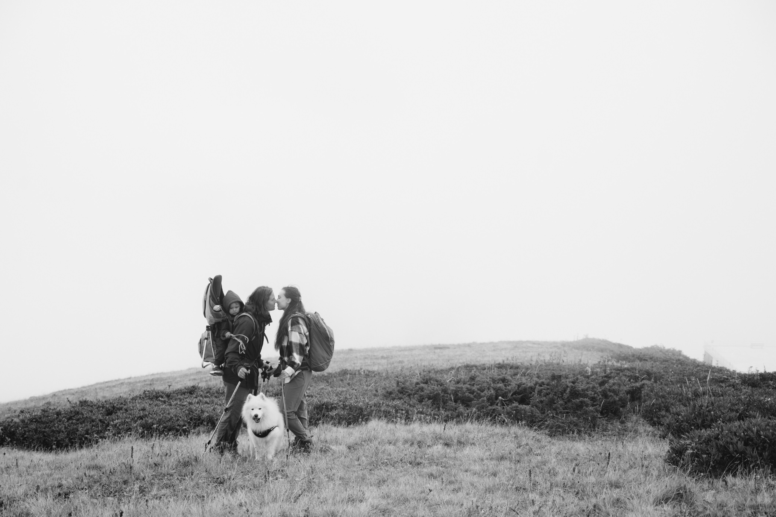 Выше гор только любовь. Свадебный и семейный фотограф Вероника Холод