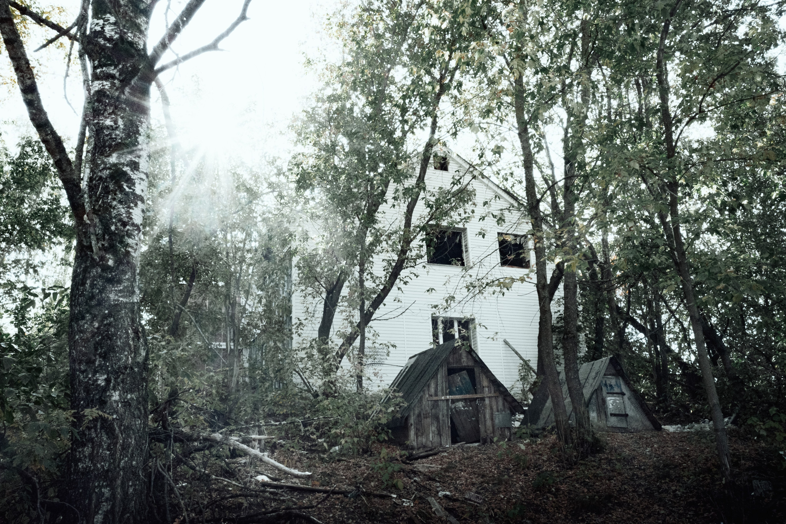 Природа. Фотограф Александр Тихонов