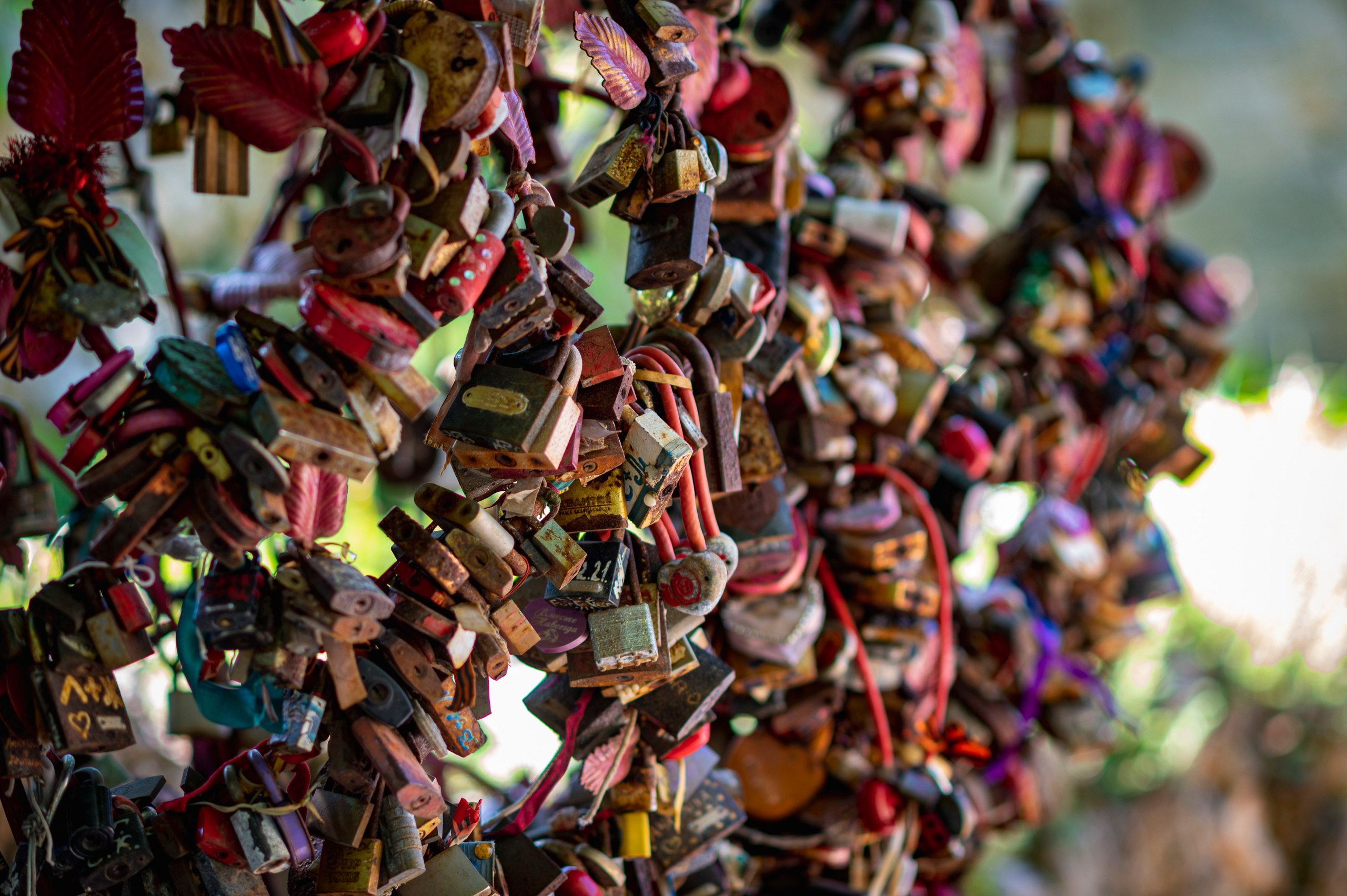 Крым май 2022. Фотограф Роман Адлер