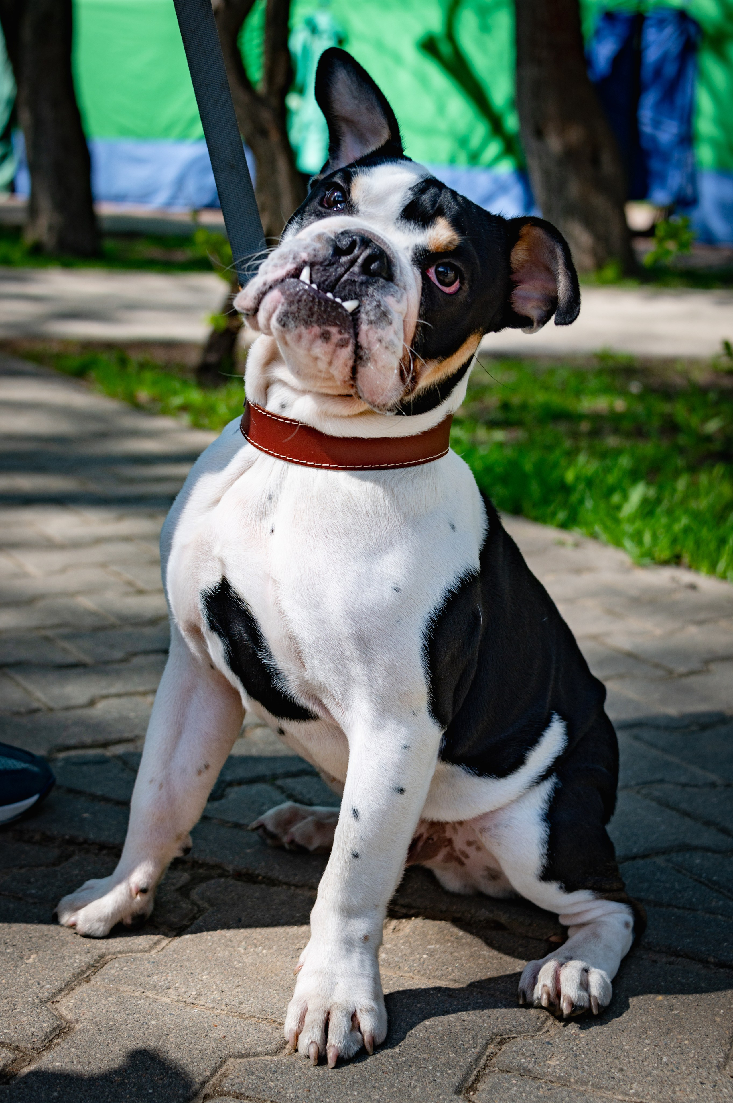 Кострома. Май 2023. Фотограф Роман Адлер