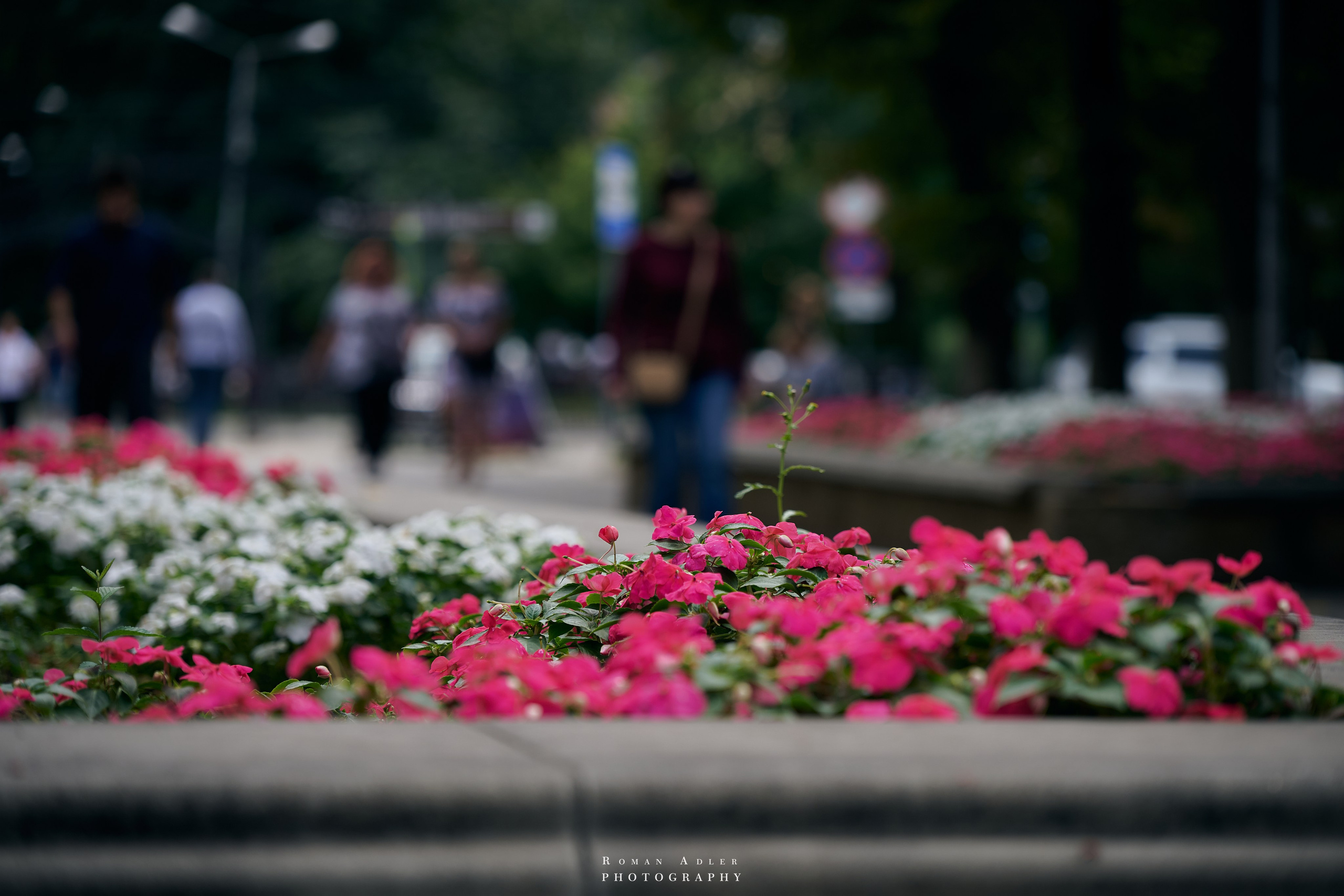 Воронеж. Август 2024. Фотограф Роман Адлер