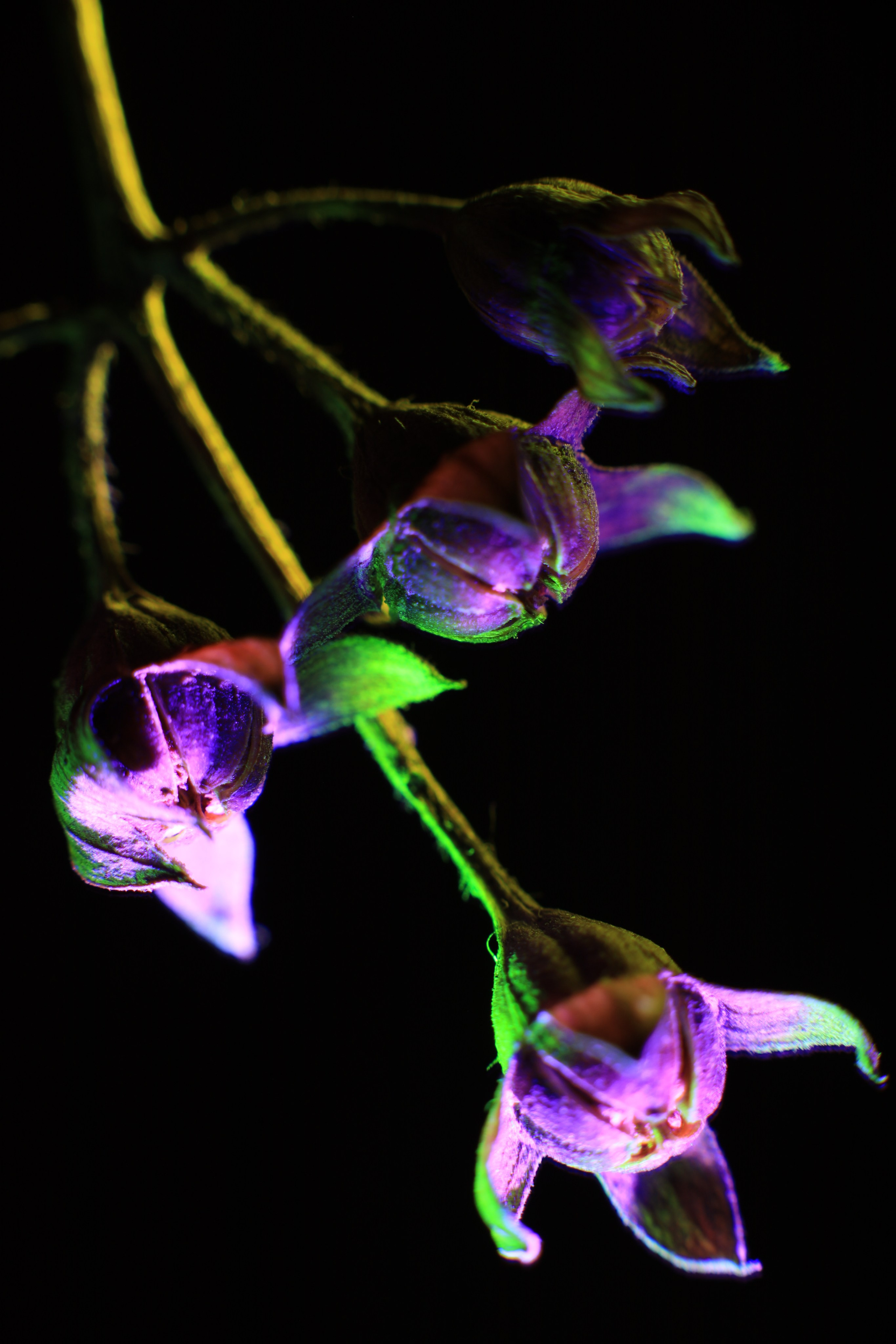 «Красок Тьма Полна». Арт-фотограф во Владивостоке Дмитрий Осипчук