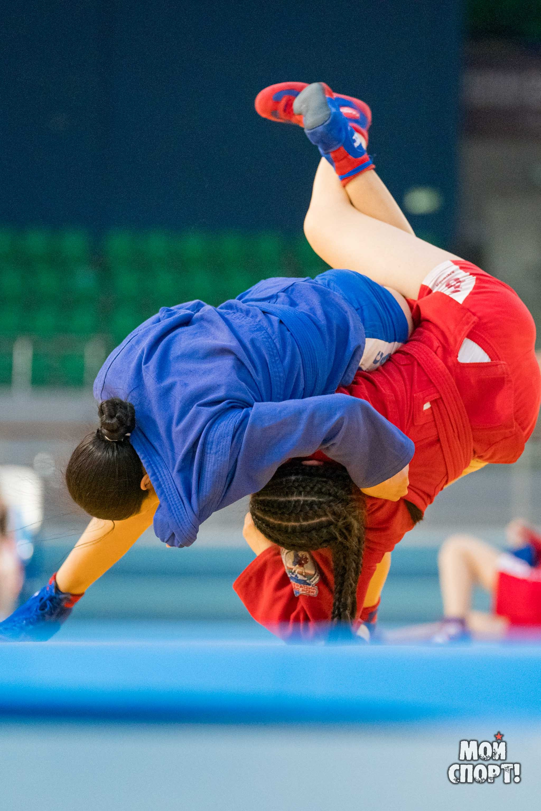 Всероссийские соревнования по самбо «Победа». Студия «Мой Спорт!» — все о спорте в Якутии