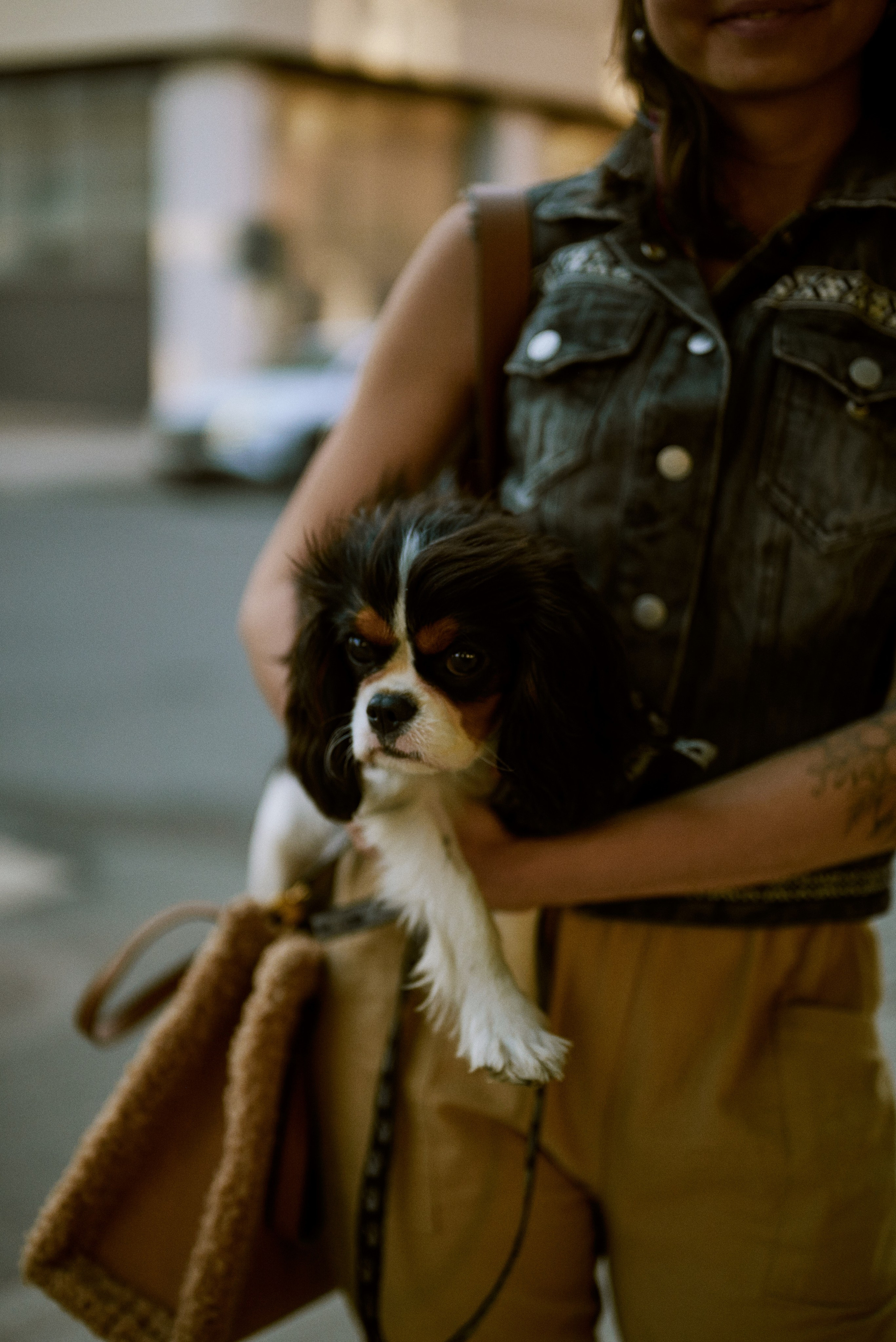 Даша и Буся. Фотограф Екатерина Строганова