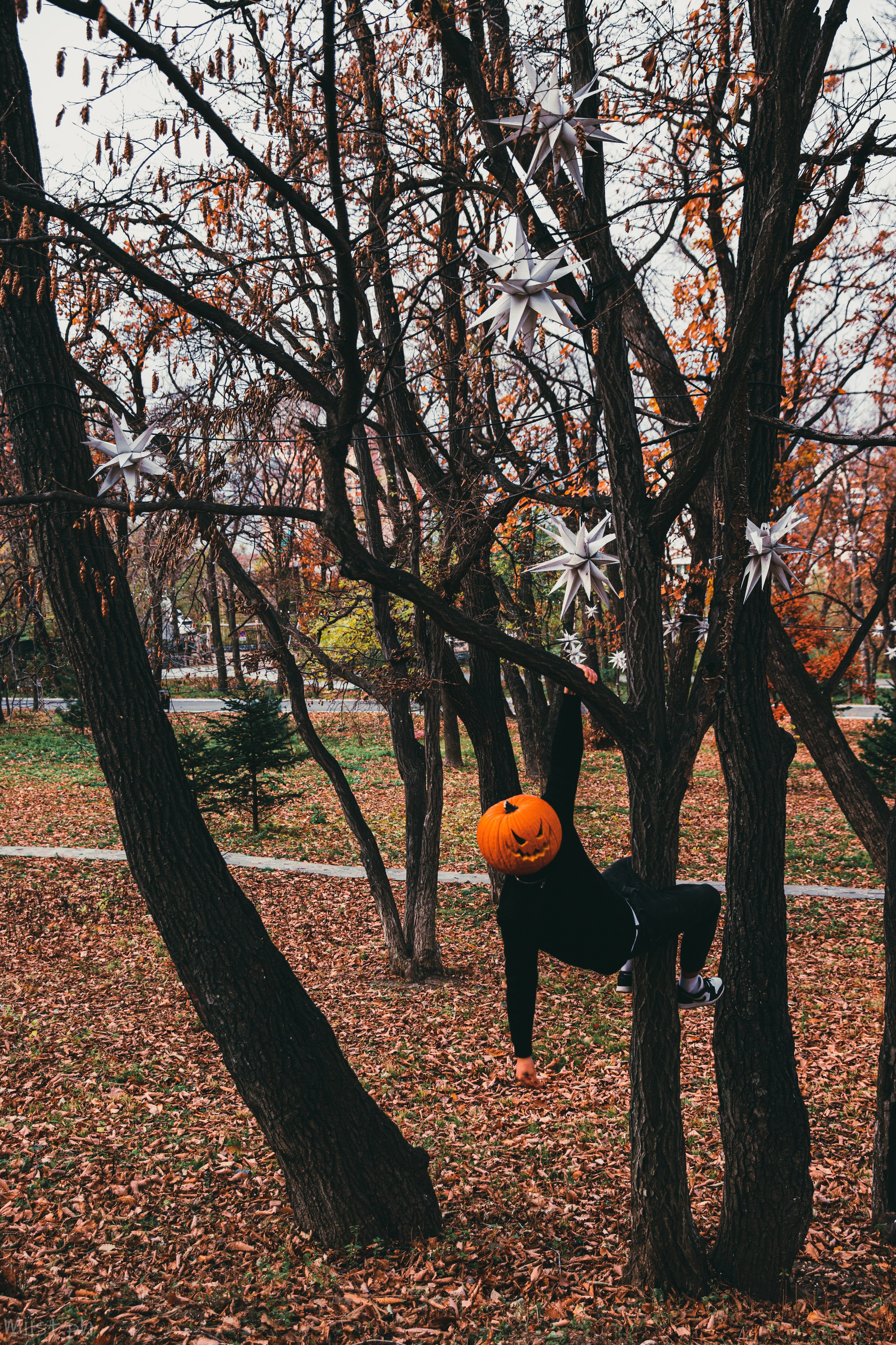 Виктор тыква. ФОТОГРАФ ВО ВЛАДИВОСТОКЕ| СВАДЕБНЫЙ ФОТОГРАФ