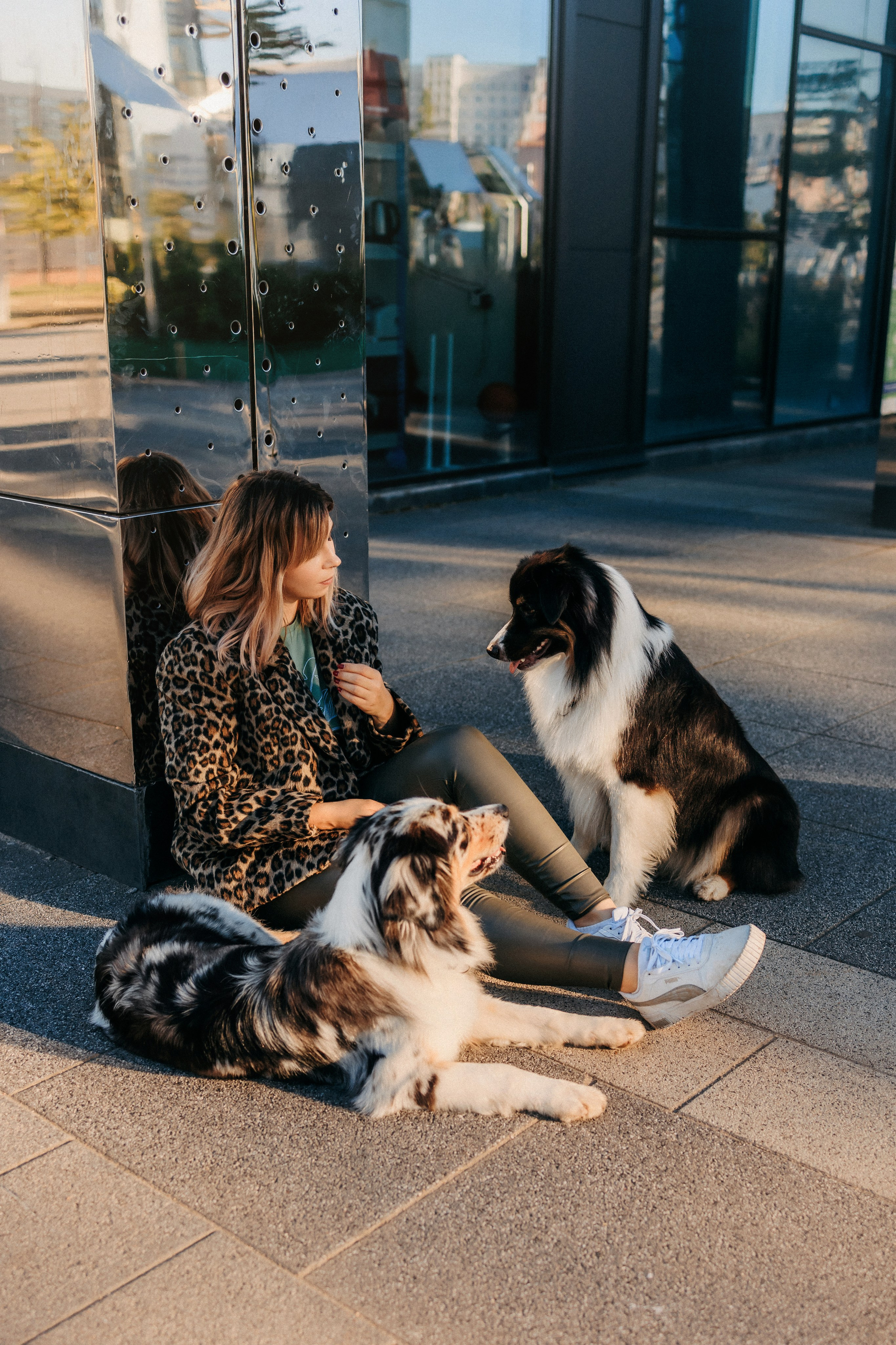 Аня, Чарли и Ева. Фотограф-анималист Елена Радченко, Москва