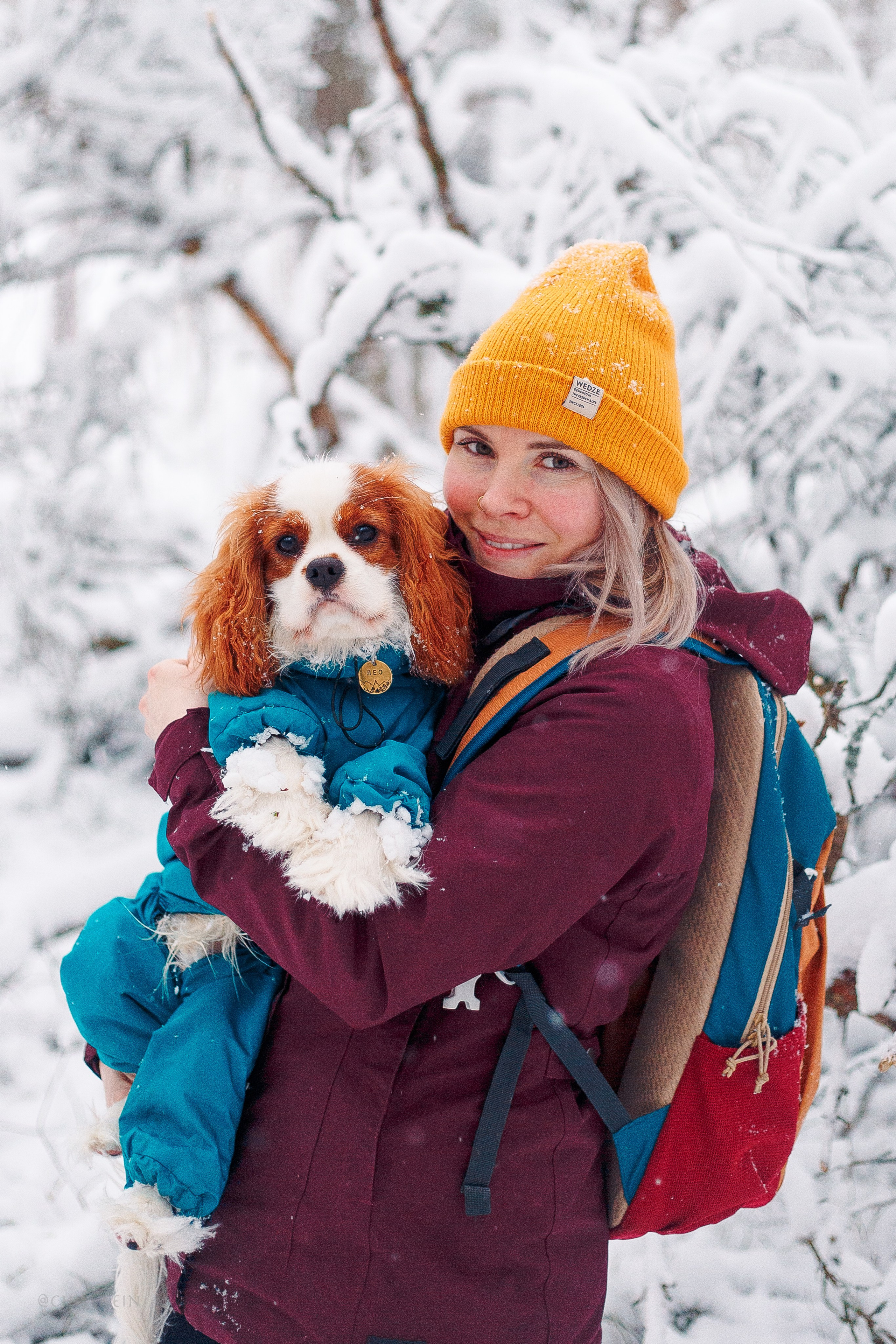 Внезапно апрельская зима. Фотограф-анималист Наталия Чистюхина в г. Сосновый Бор и ЛО