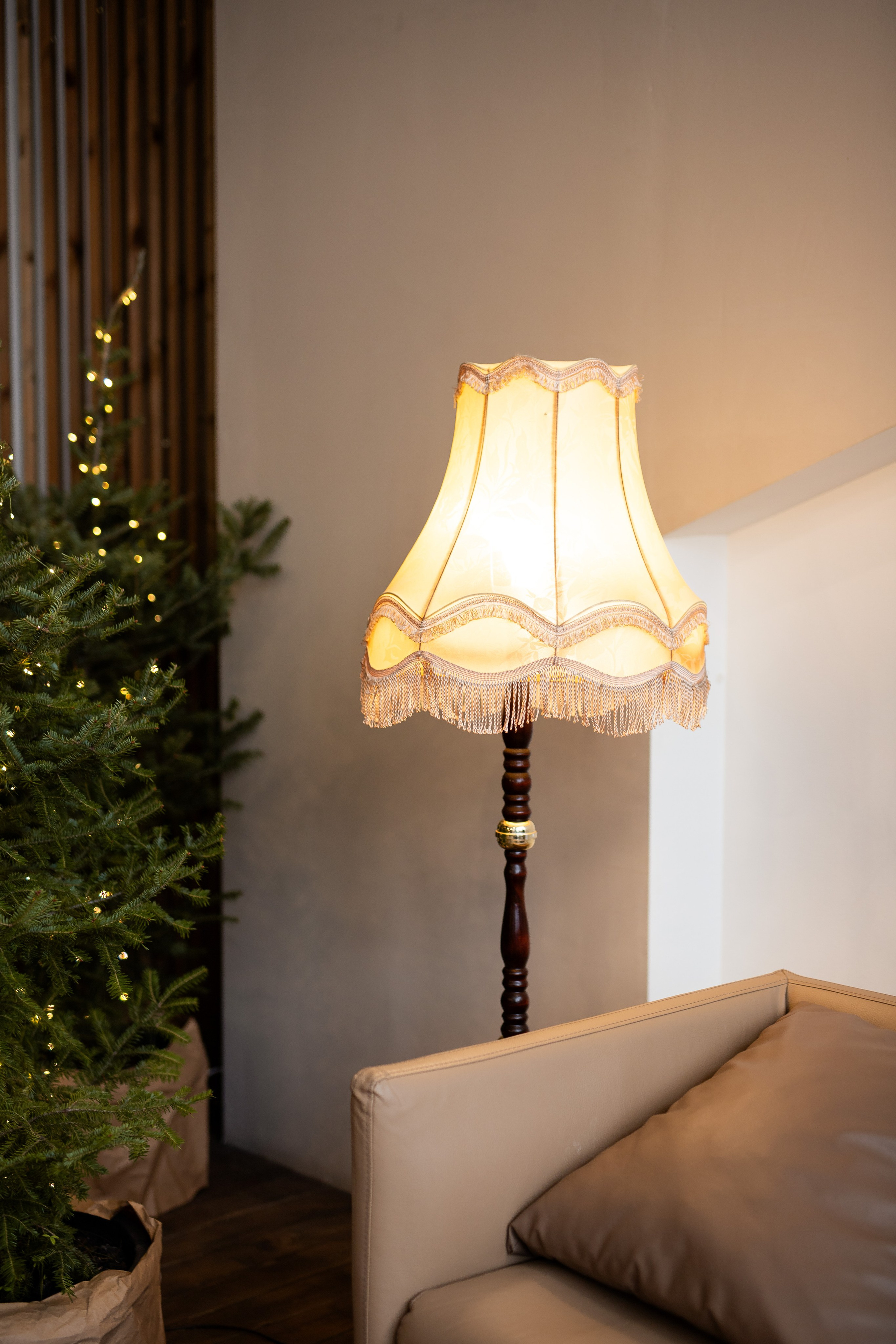 Новогодняя Семейная. Фотограф Анастасия Петрова