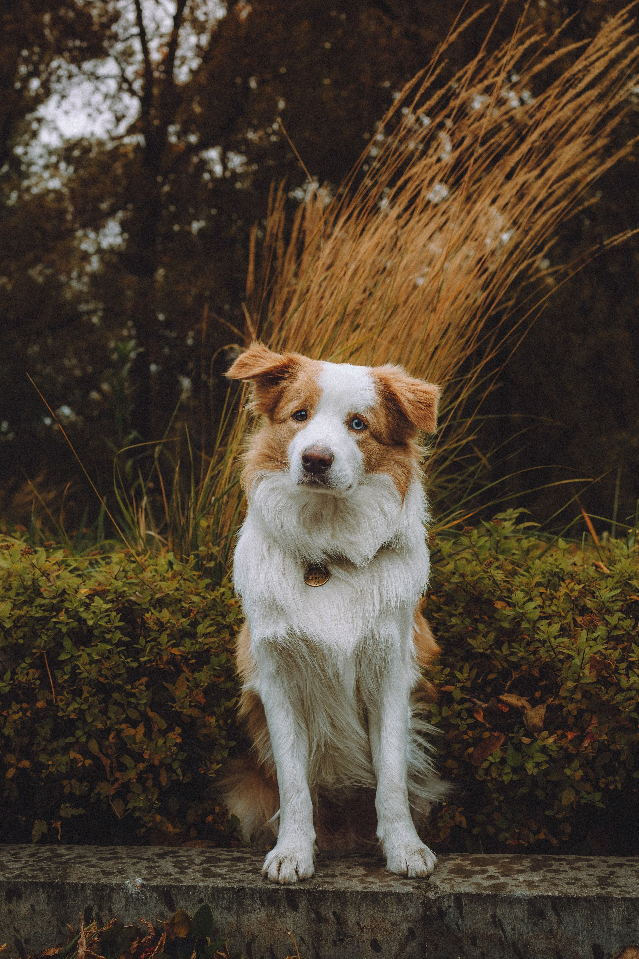 Алина, Витя и Асти