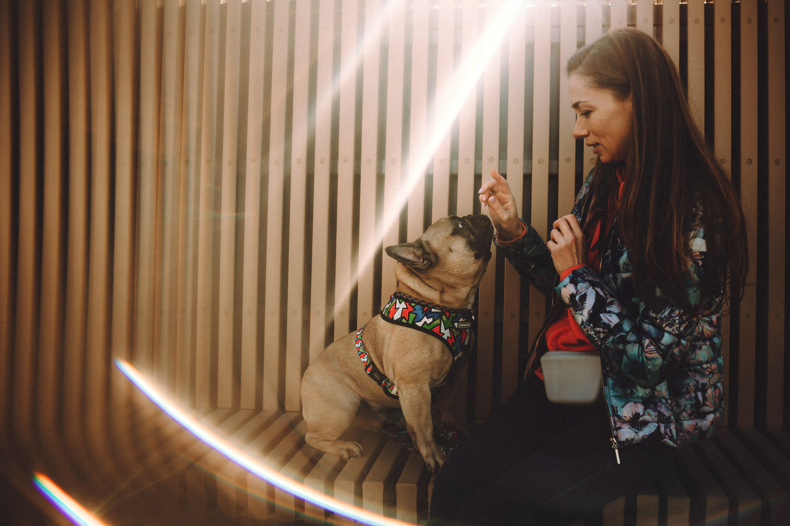 Настя, Женя и Хонор