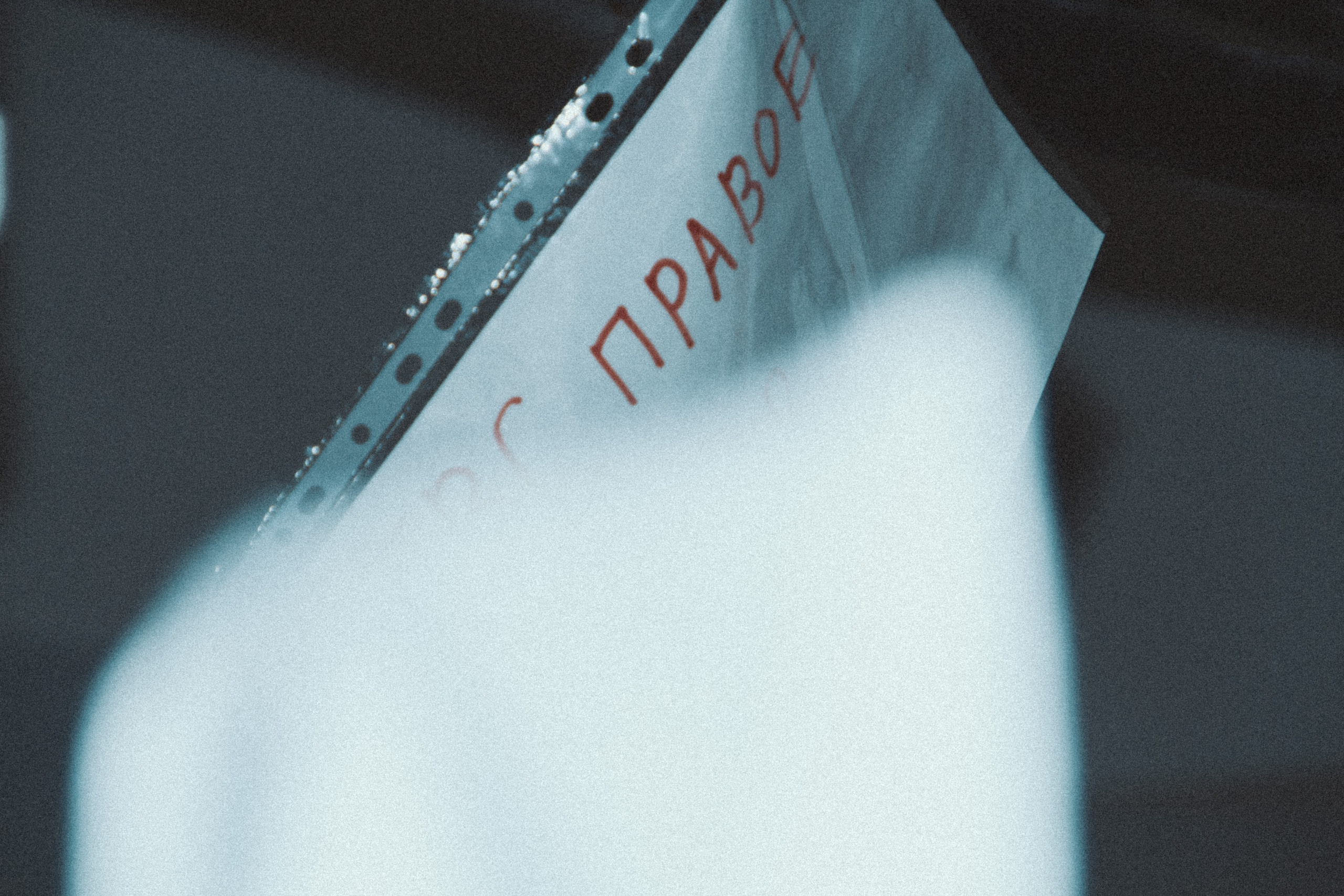 Подвальные блохи