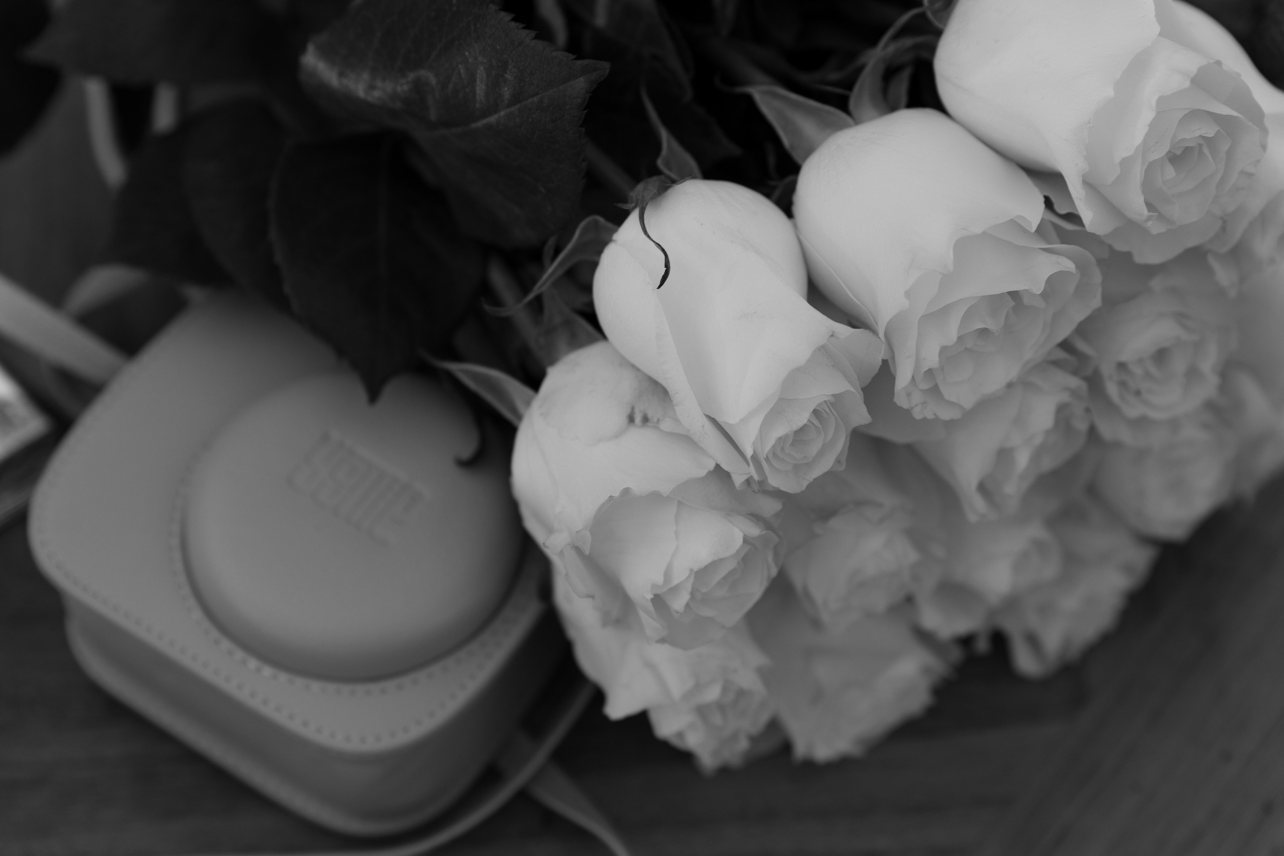 Выездная регистрация Усадьба п.Орловка. Свадебный фотограф Калининград