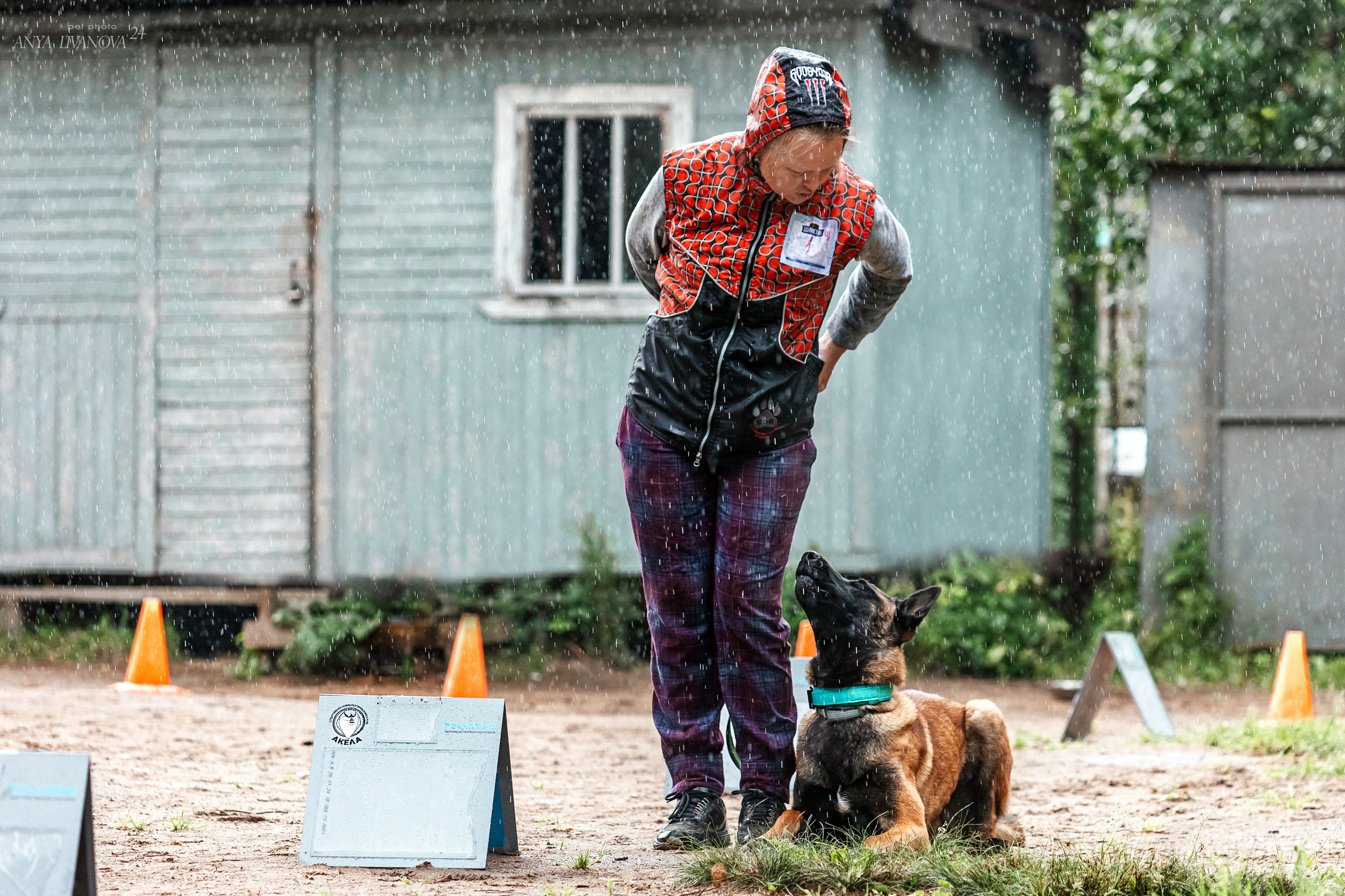 Ралли «Акела». Фотограф анималист Аня Ливанова | Рыбинск