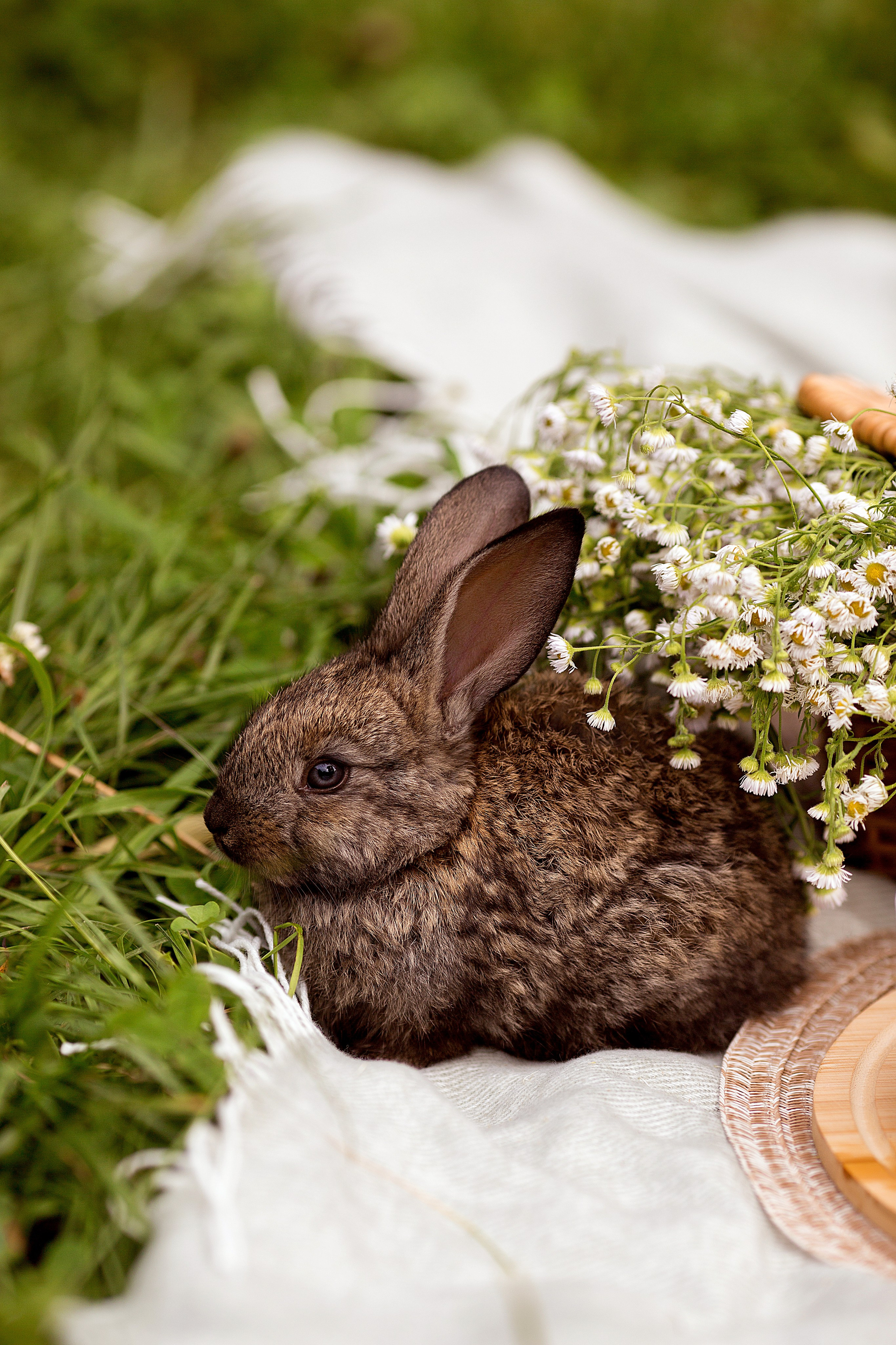 Алиса. Людмила Далидович топовый семейный фотограф Находка/Владивосток