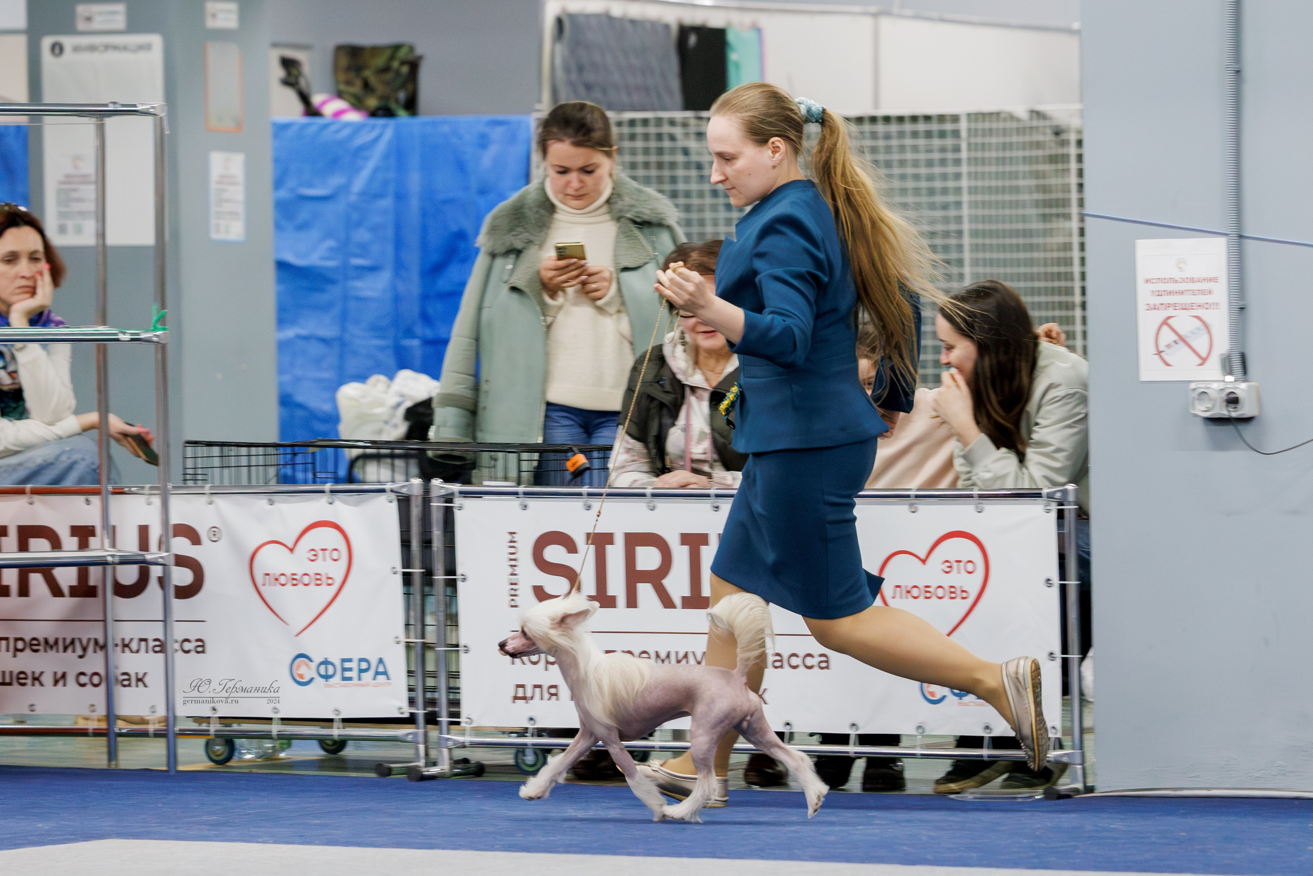 Сфера и Крокус 8,9,16 и 30.03.2025. Фотограф-анималист Юлия Германика