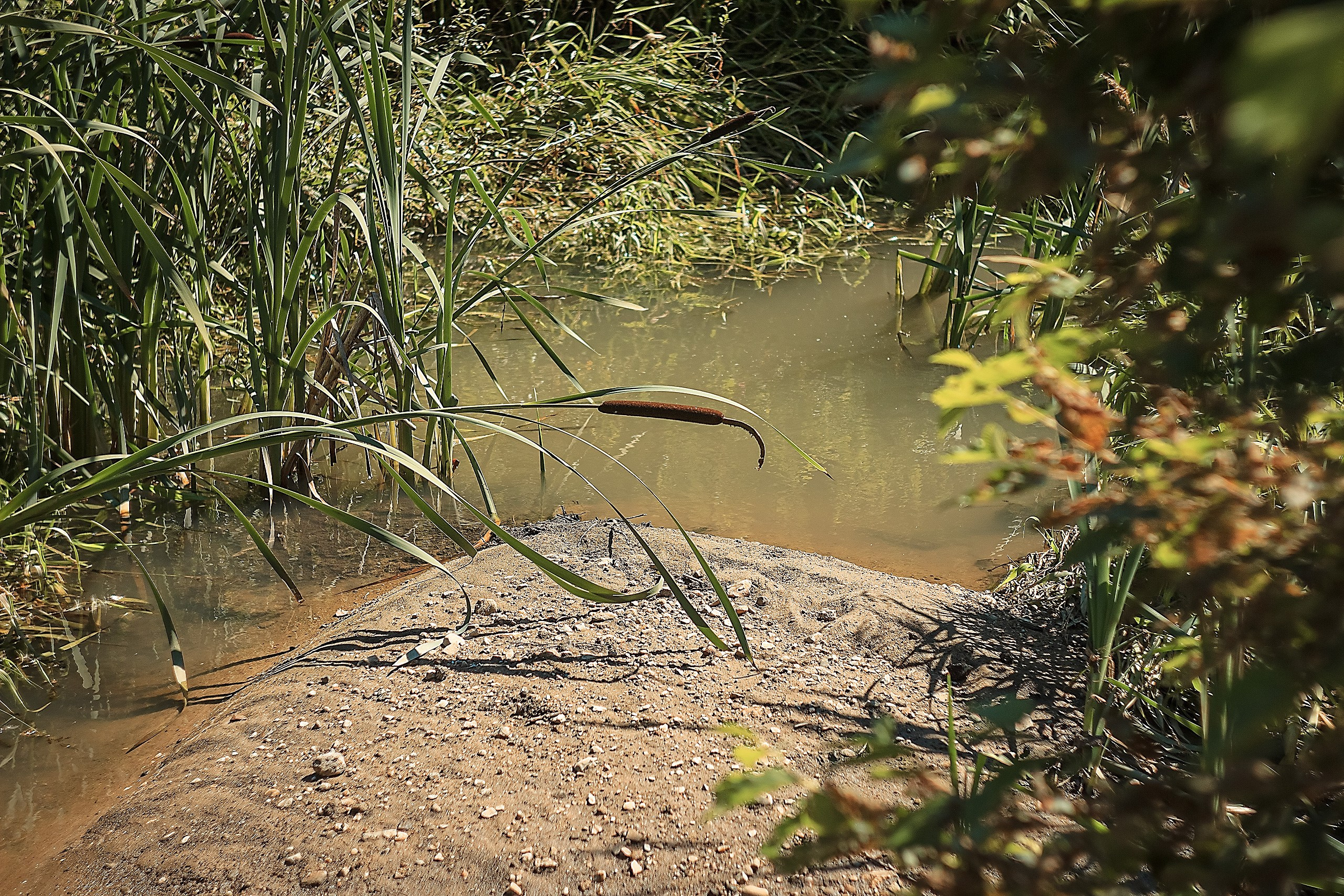 Наш Дом — Земля. Аmat Victoria Сuram