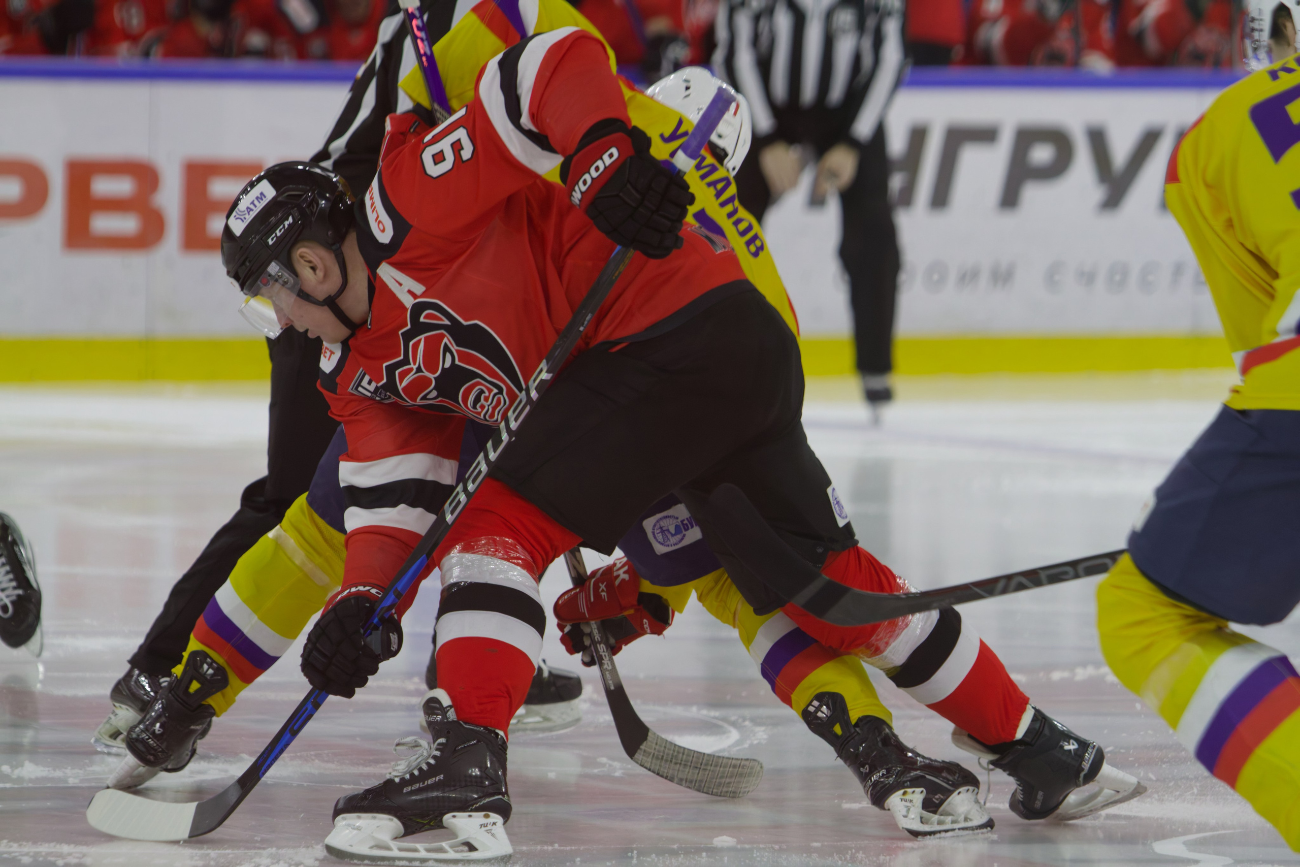 Хоккей. Молот-Химик 12.02.2025. Репортажный и спортивный фотограф в г. Пермь Зильберг Павел