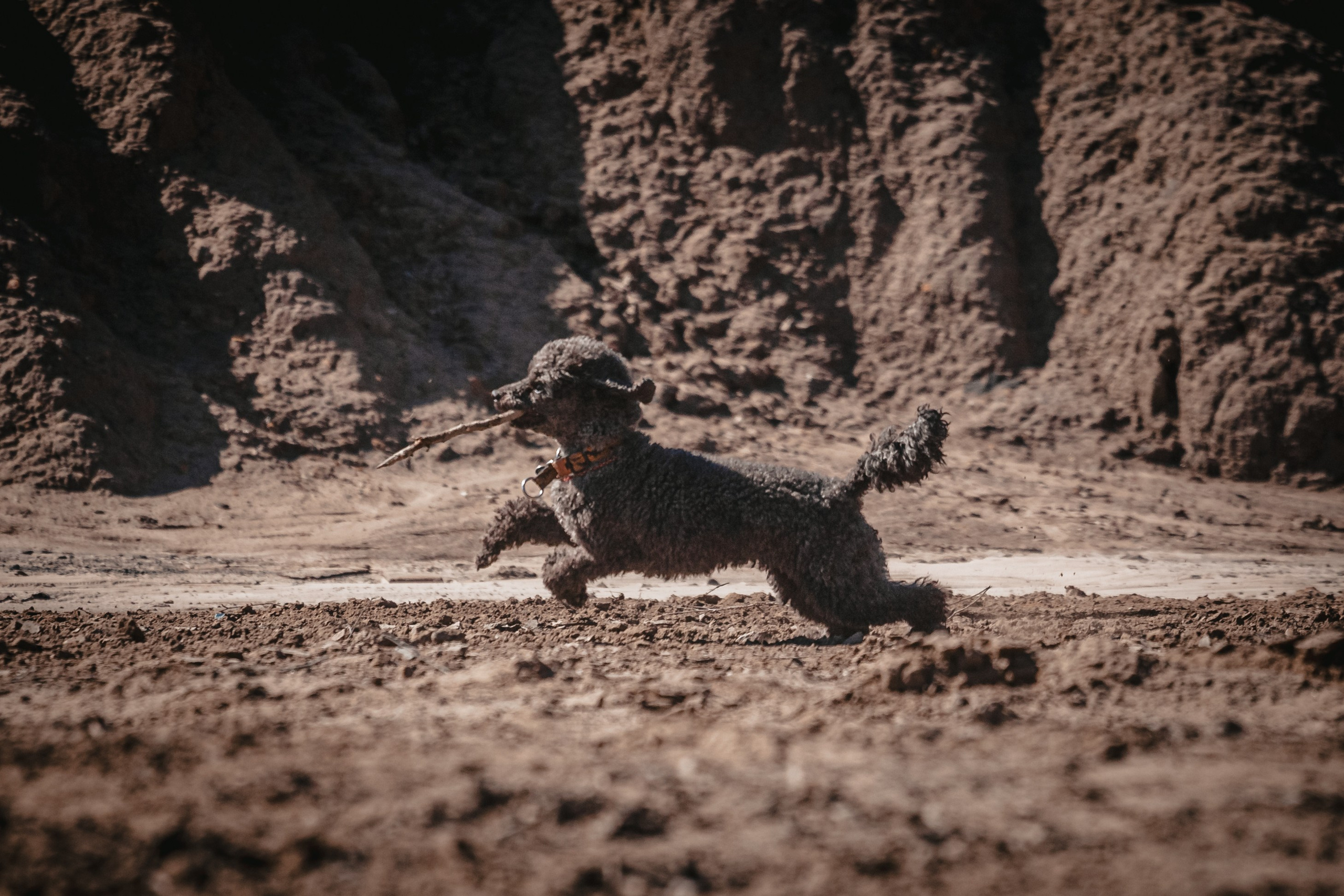 Кондуки. Фотограф-анималист Татьяна Степанова