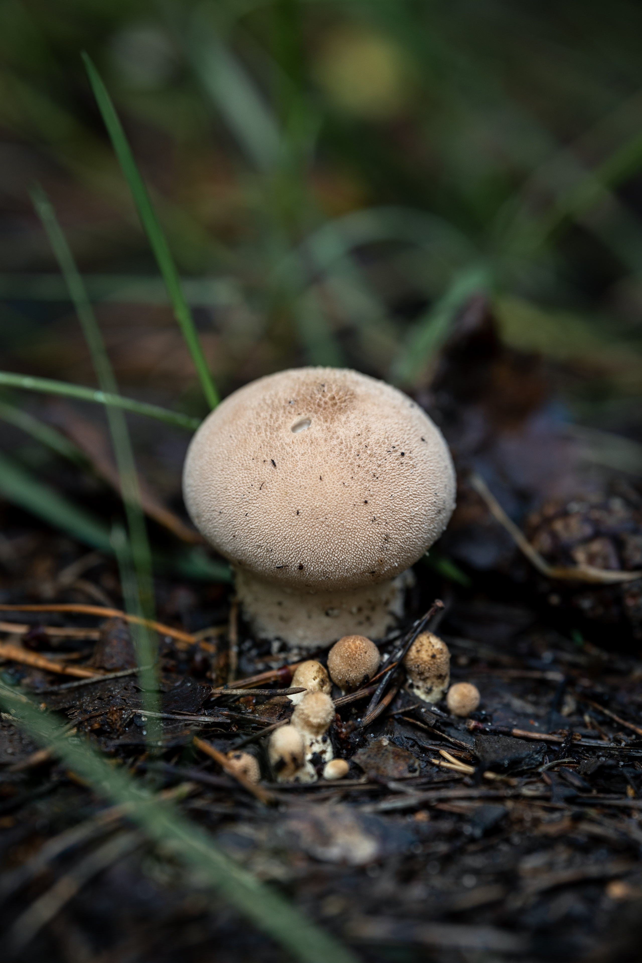 Природные пейзажи. Наталия Клевинскас портретный фотограф в Костроме