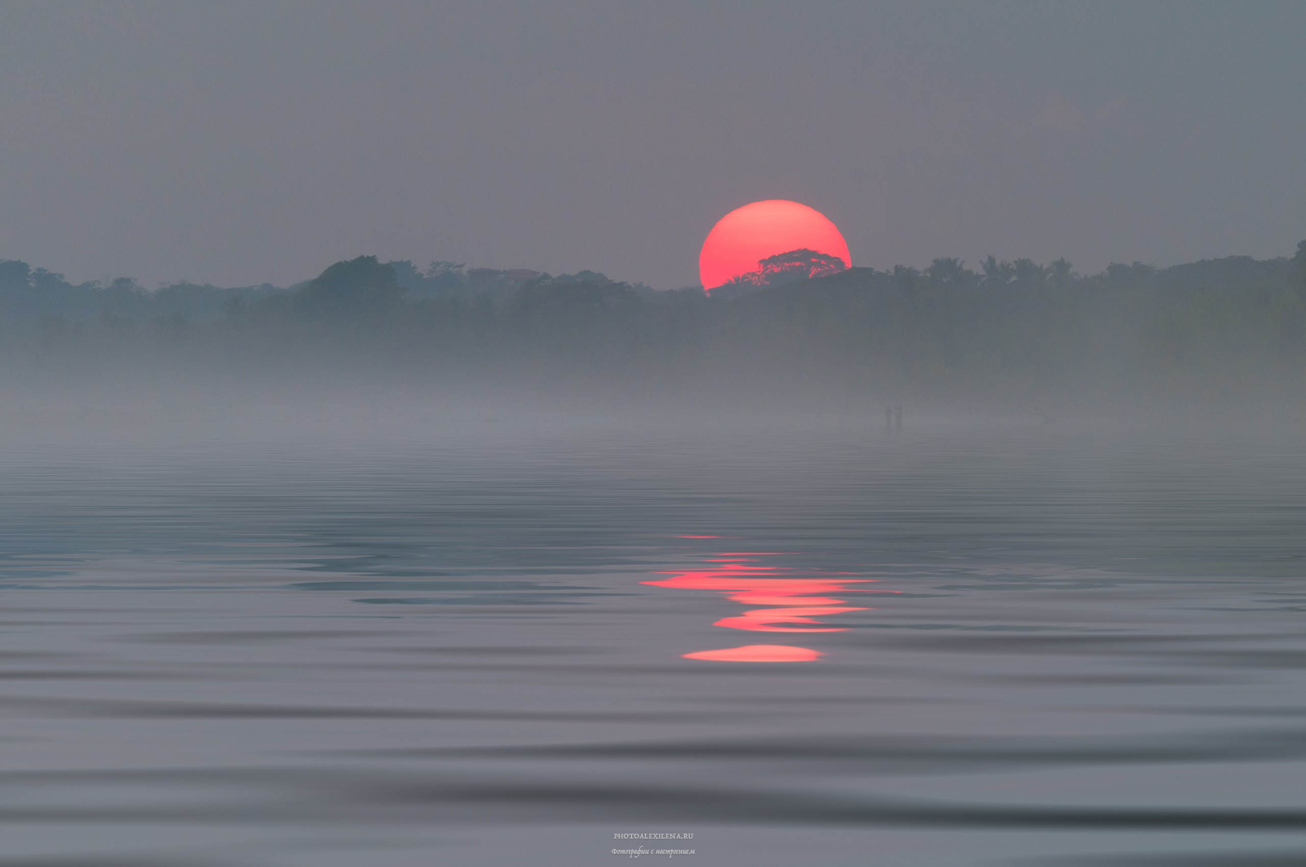 Светило в кадре. Авторские стильные фотокартины