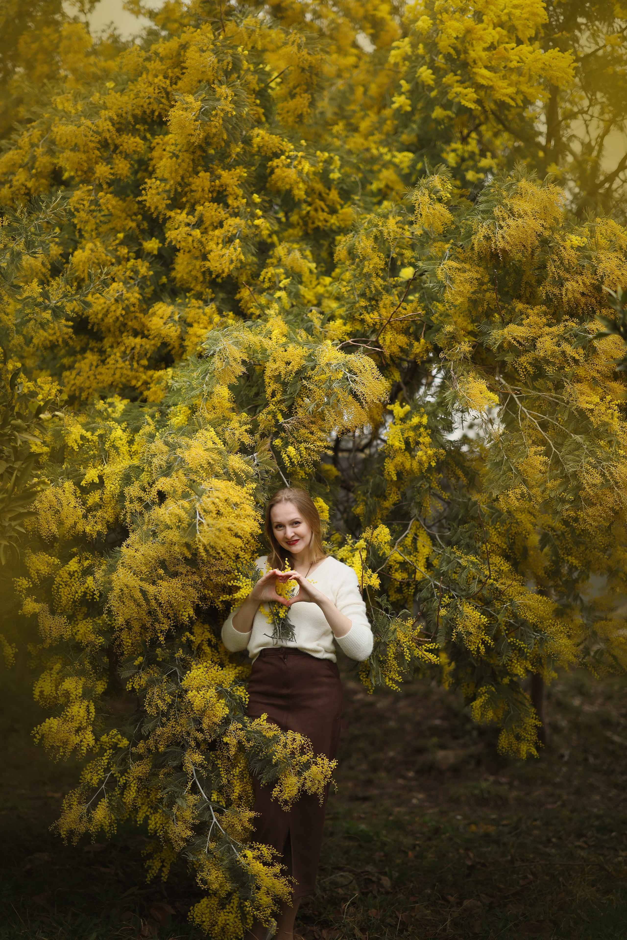 фотосессии мимозы Абхазия