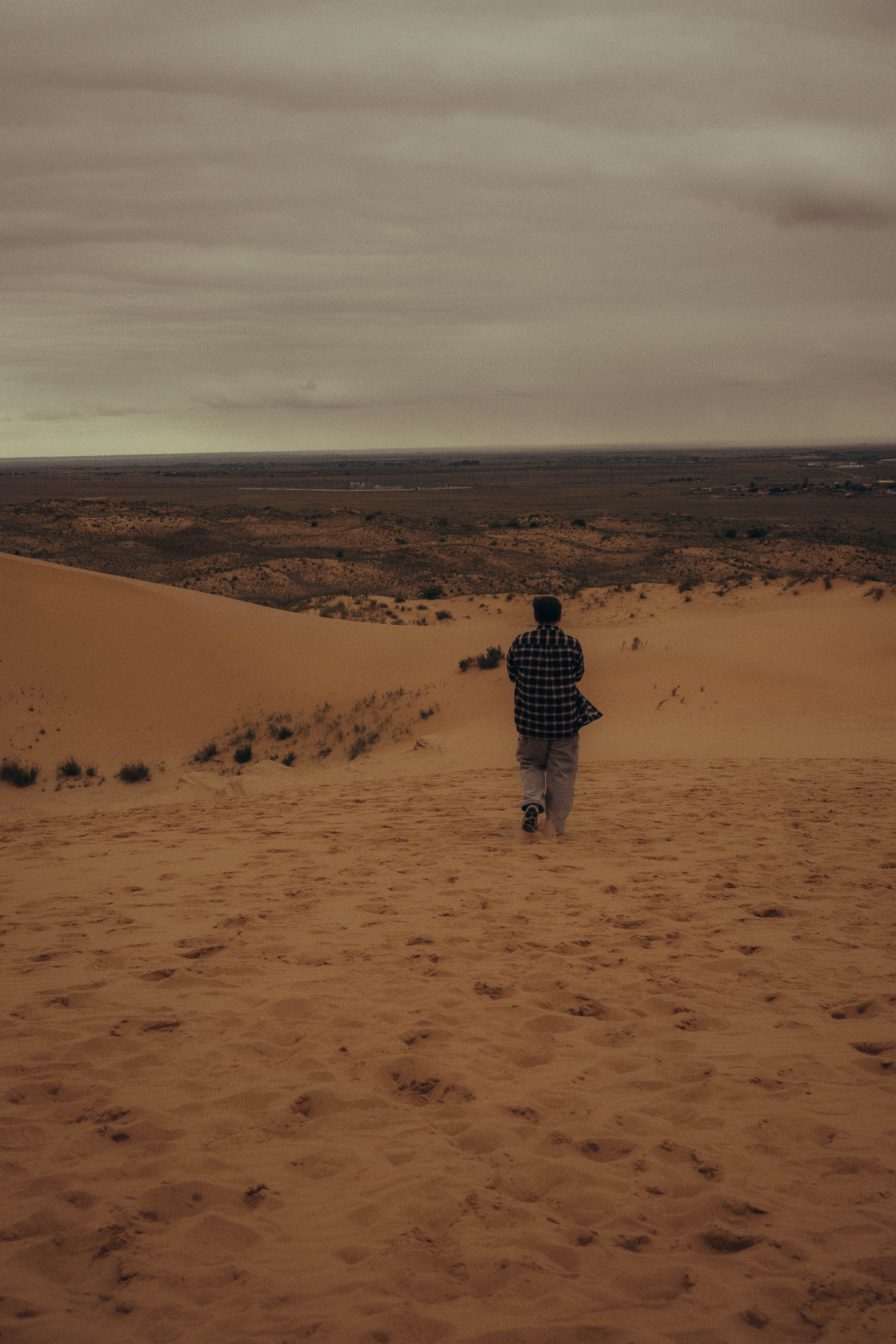 Барханы. Профессиональный фотограф, Санкт-Петербург — Виктория Богомолова