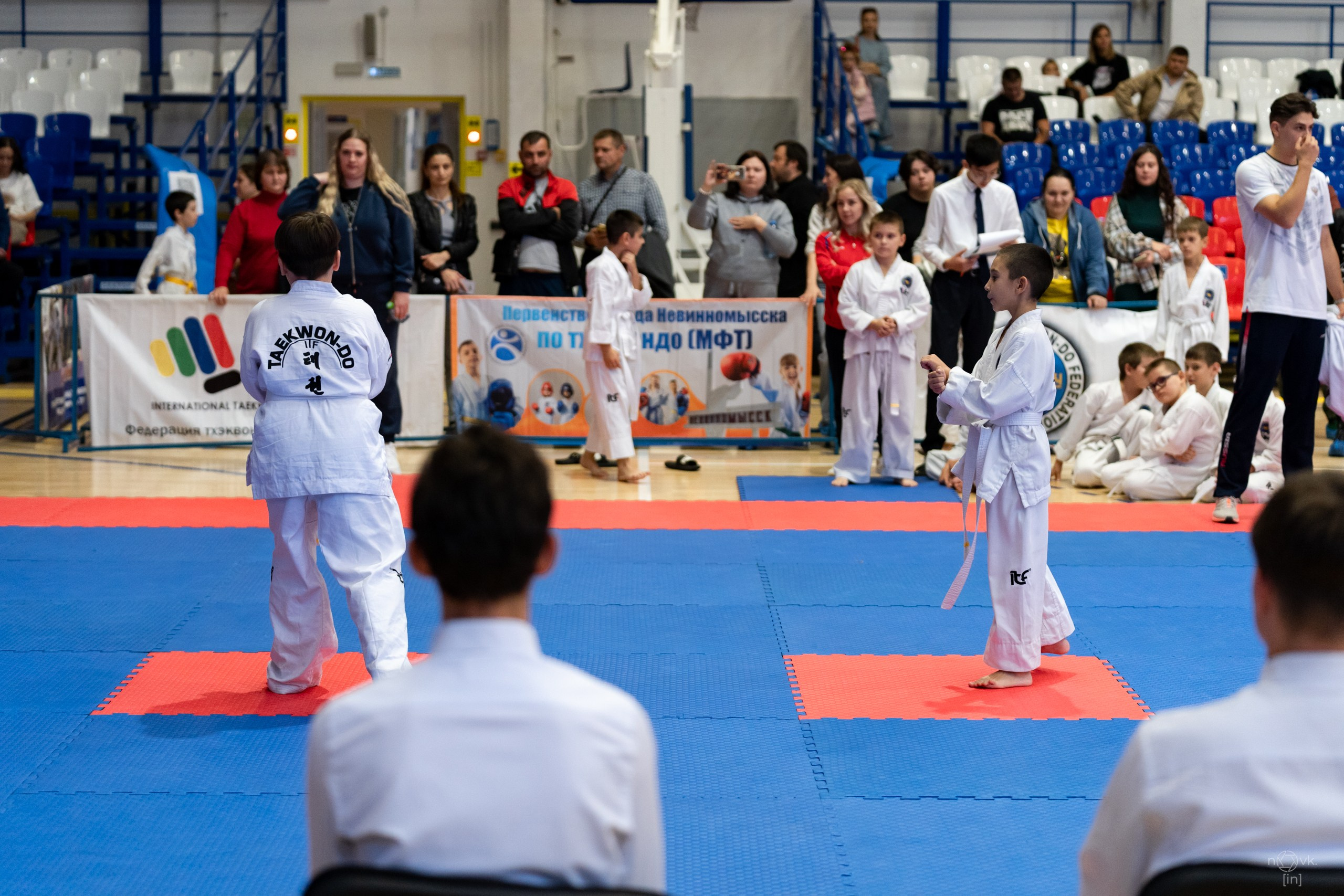 Тхэквондо. ФОТОГРАФ ИВАН НОВИКОВ | СТАВРОПОЛЬ