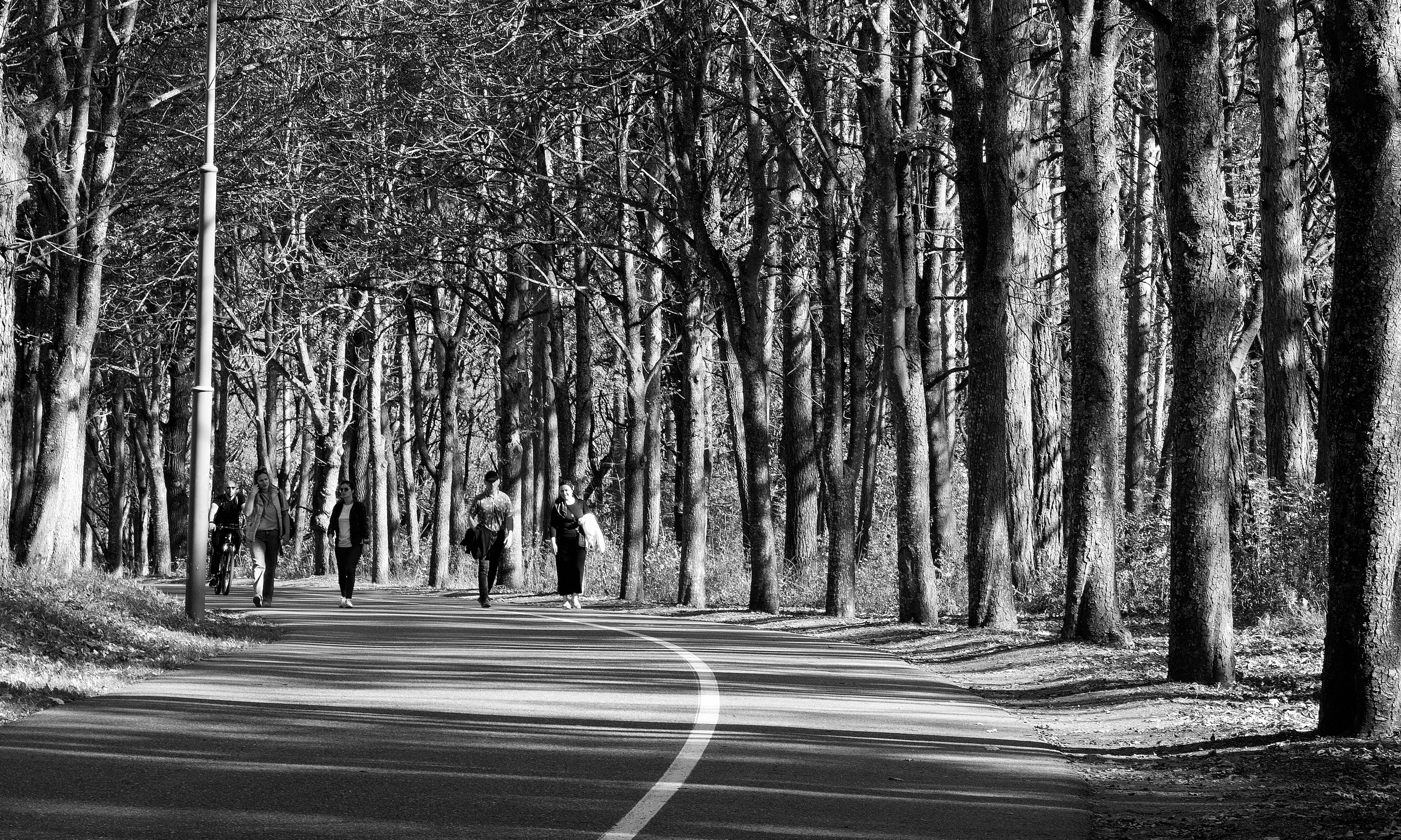 ПЕЙЗАЖ. Фотограф Николай Костюк