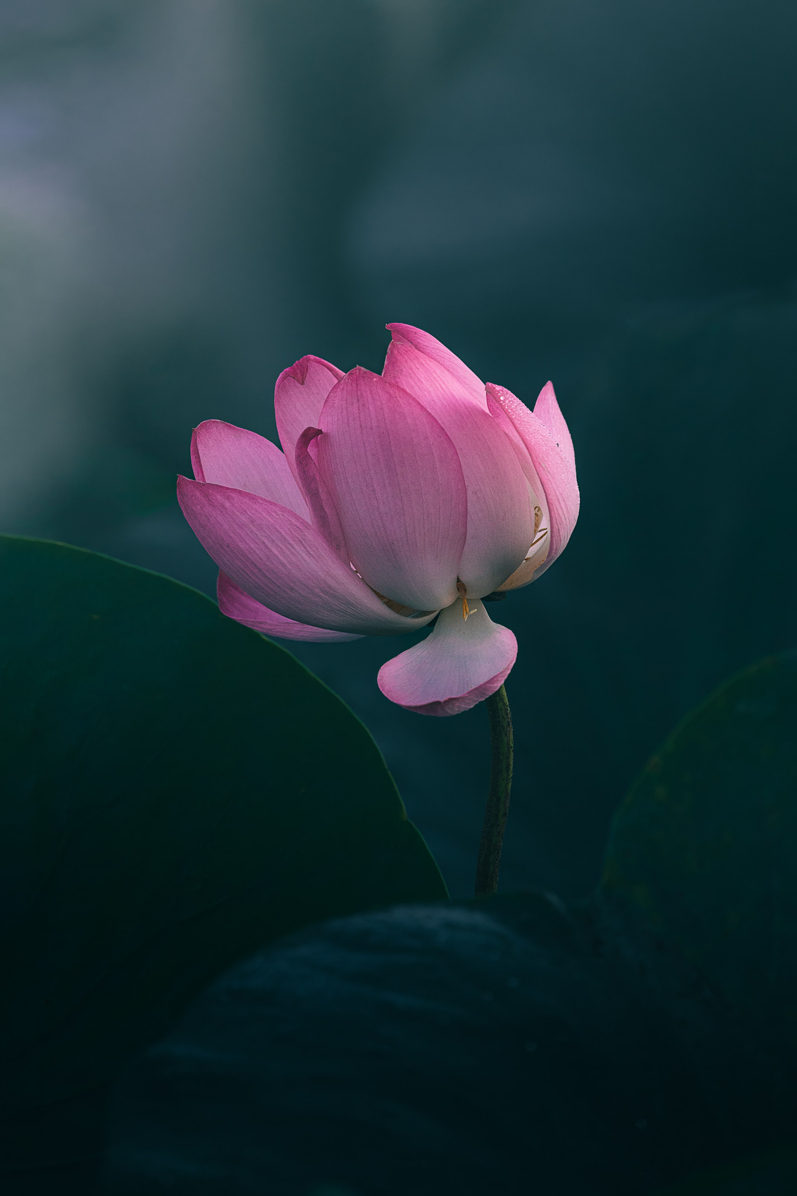 Астраханская область 2025 | Фотограф Дмитрий Купрацевич. Дмитрий Купрацевич профессиональный пейзажный и travel-фотограф