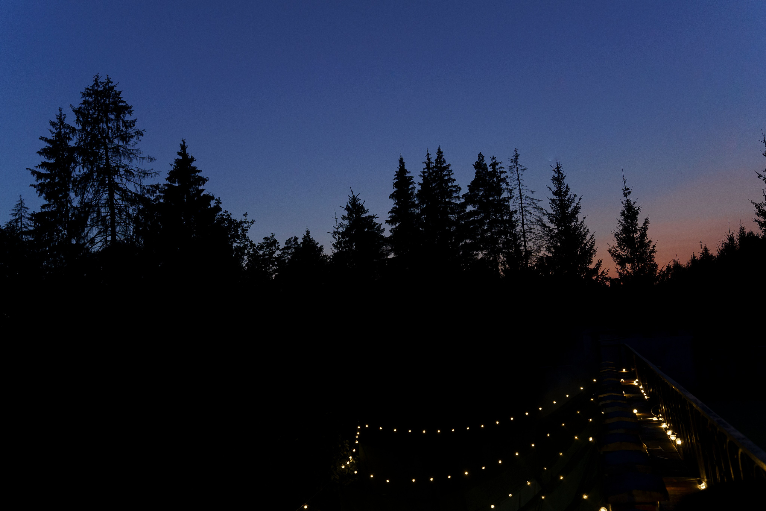 Однажды в замке. Свадебный фотограф Диана Грицай