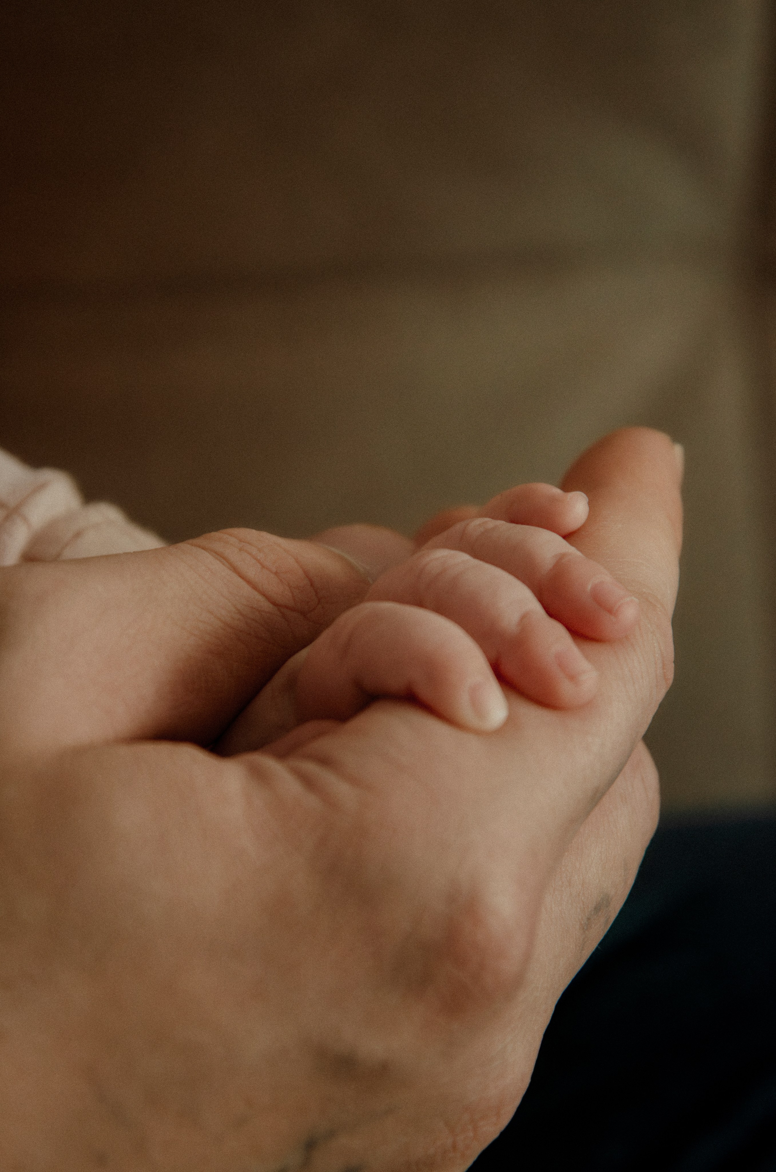 Домашняя съемка. Фотографы в Тюмени Андрей и Лидия Войвод