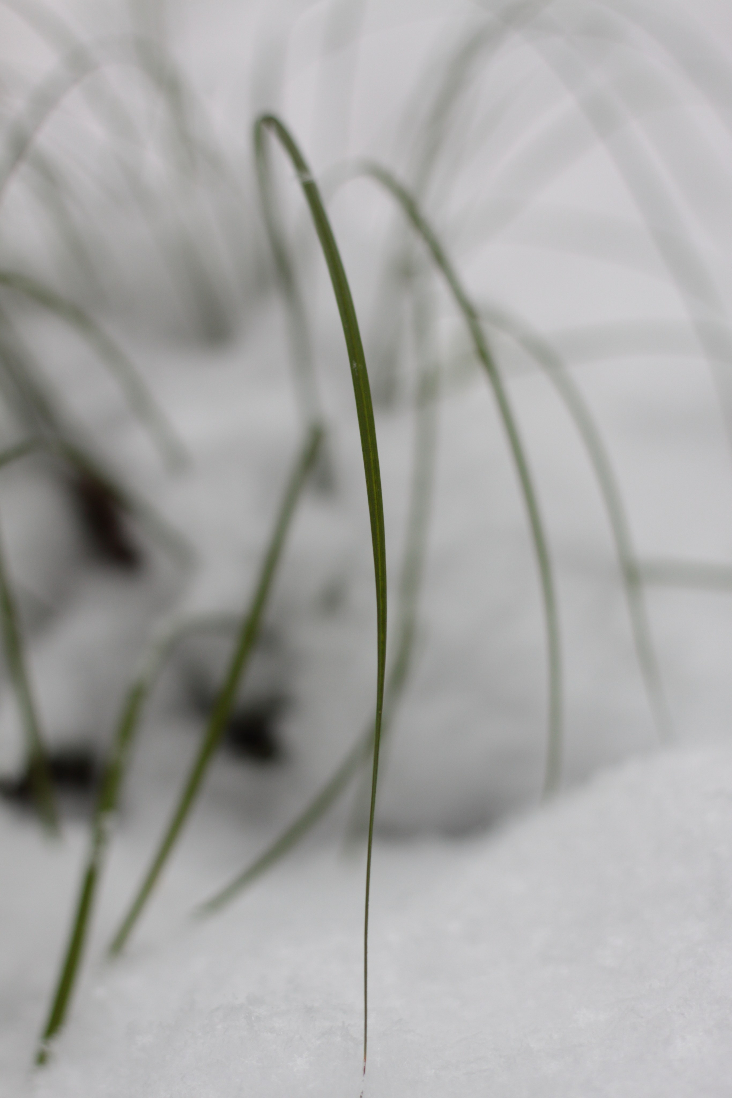 Старое природное, отбирала Katamount (Катерина Горохова). Главная