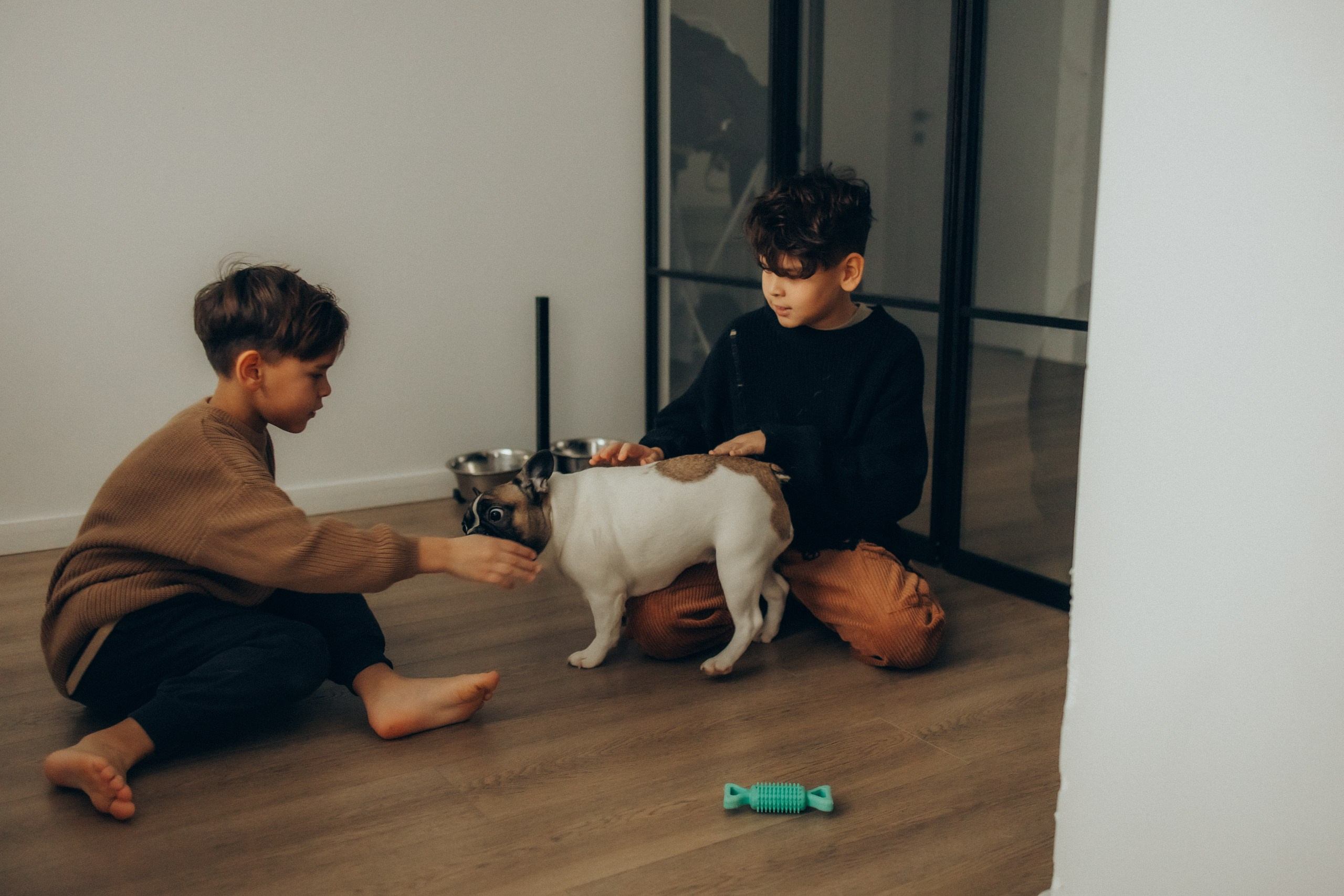 Руслан, Тимур и Луна. Семейный фотограф Москва