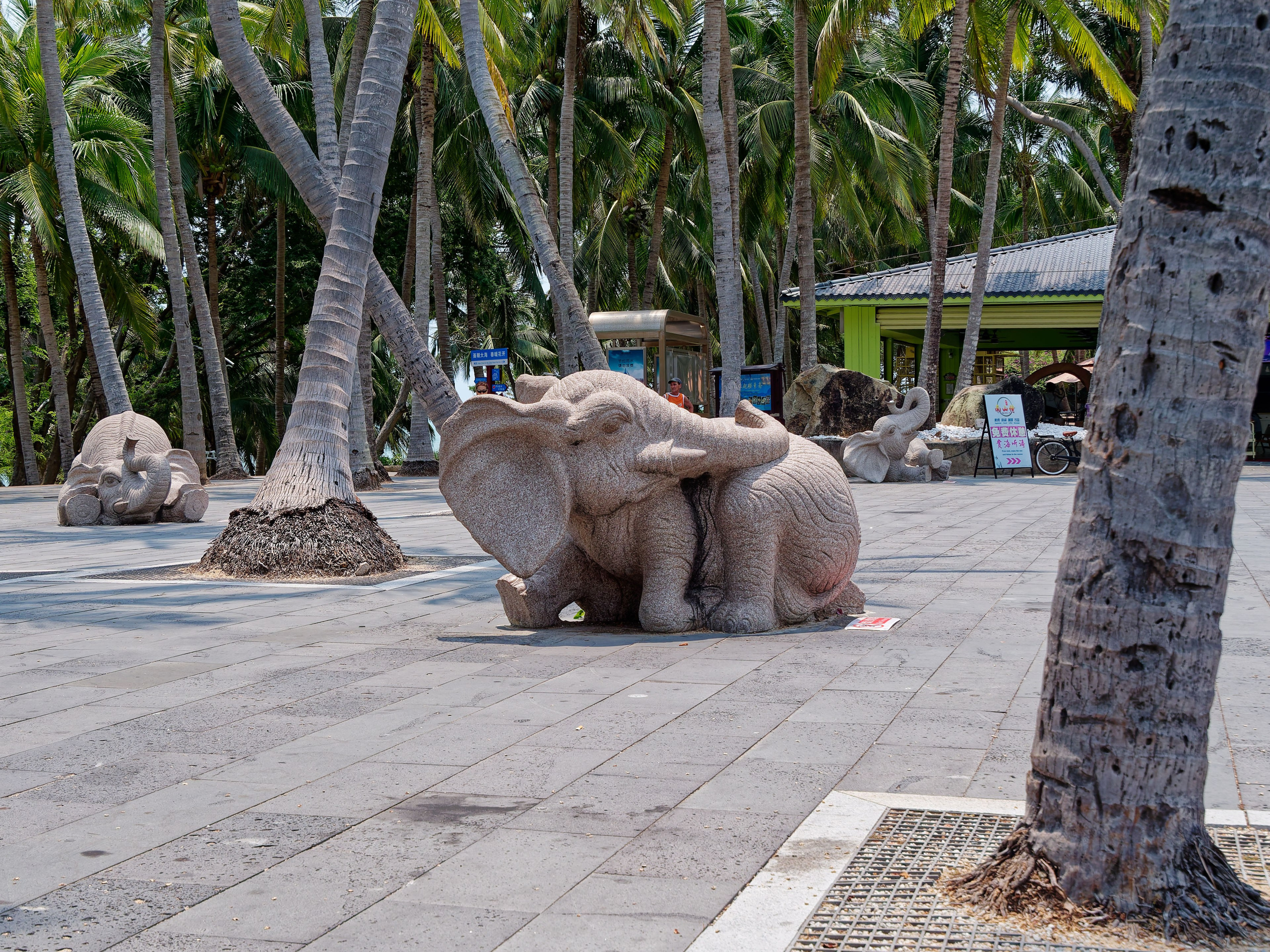 Хайнань 2026, Тур по буддийским храмам. Фотопрогулки по Миру