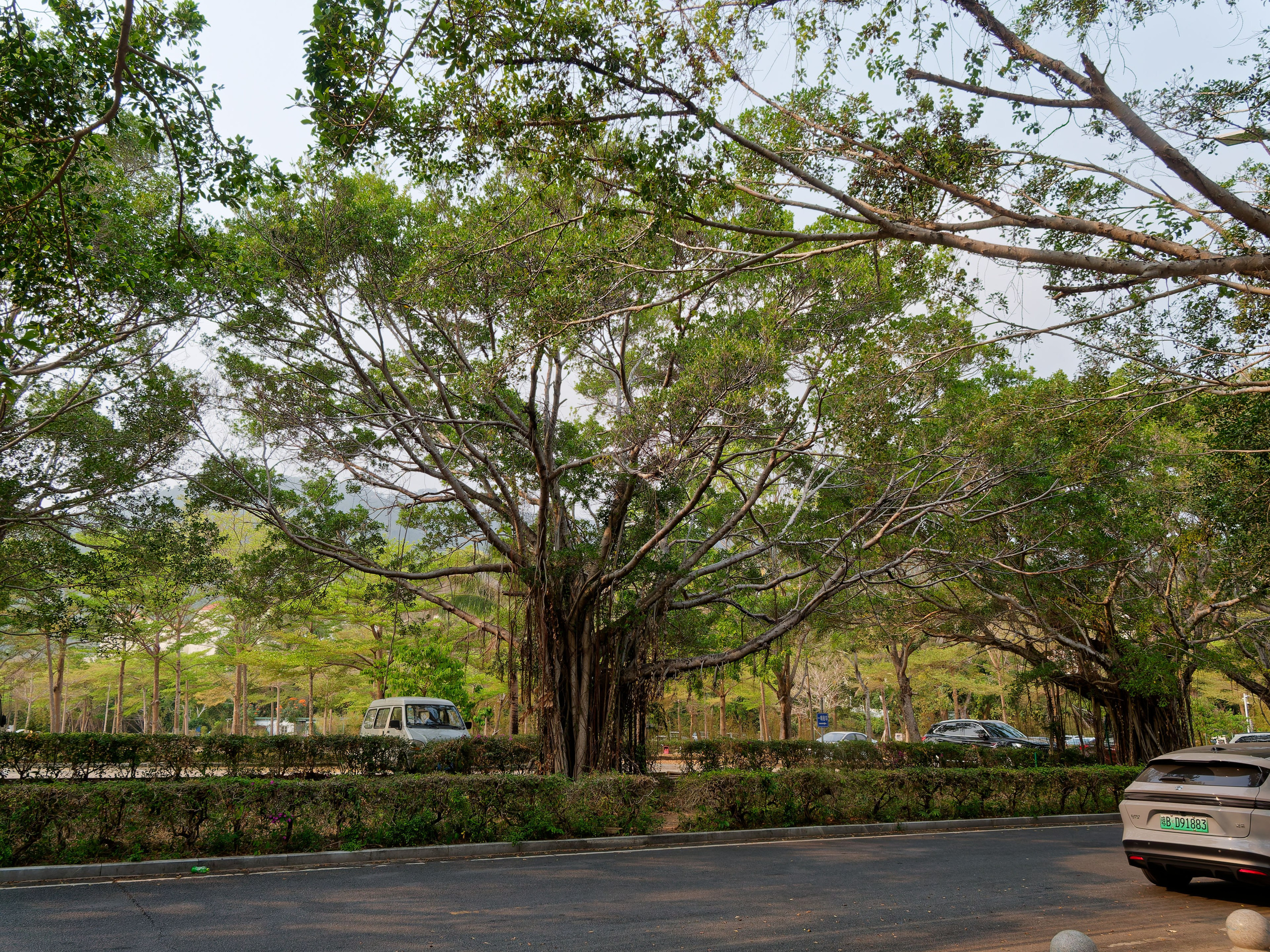 Хайнань 2026, улицы Ялунвань и Саньи. Фотопрогулки по Миру