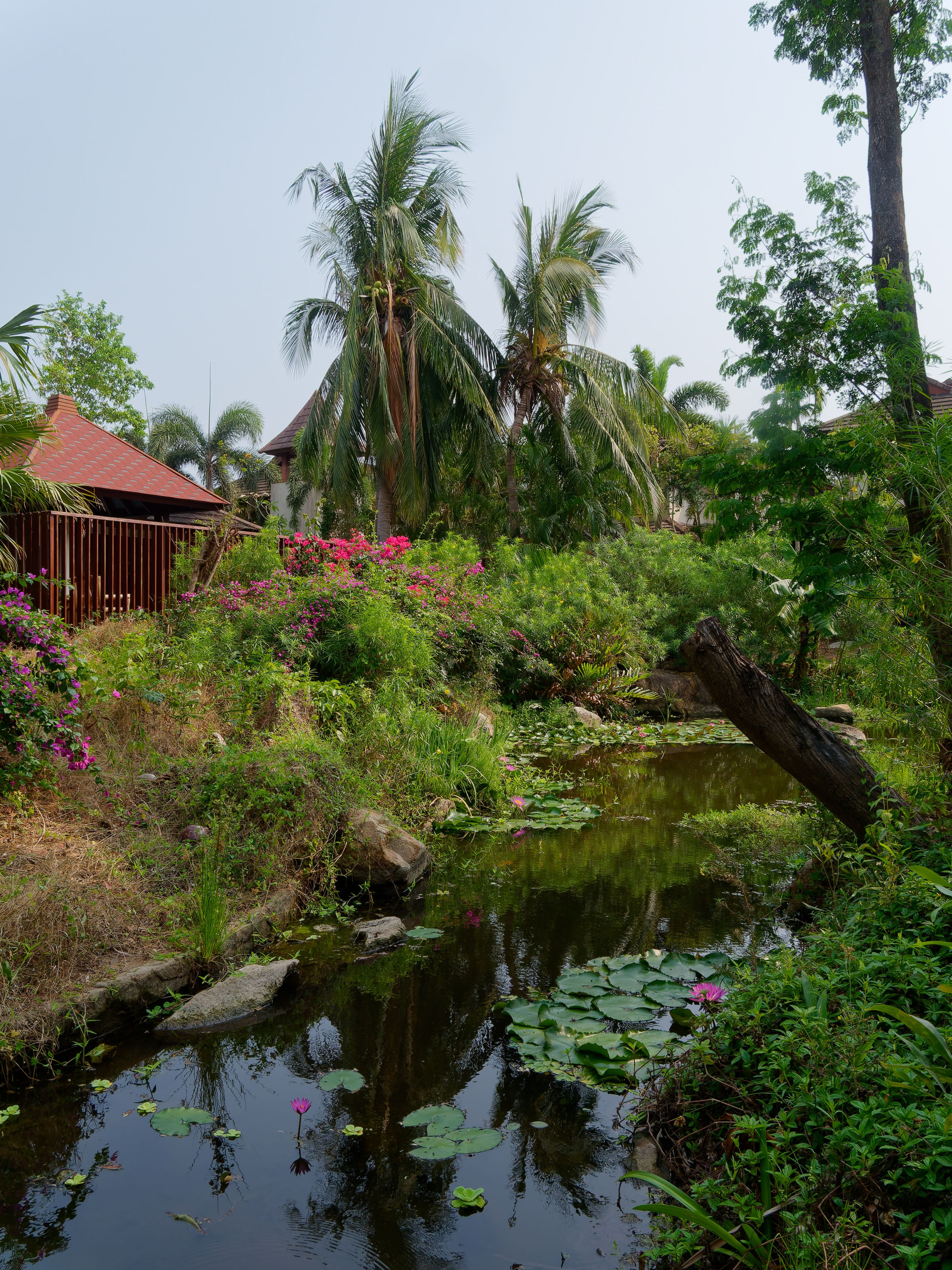 Хайнань 2026, отель «Stony Brook Villa Jianguo Resort Sanya 4*». Фотопрогулки по Миру