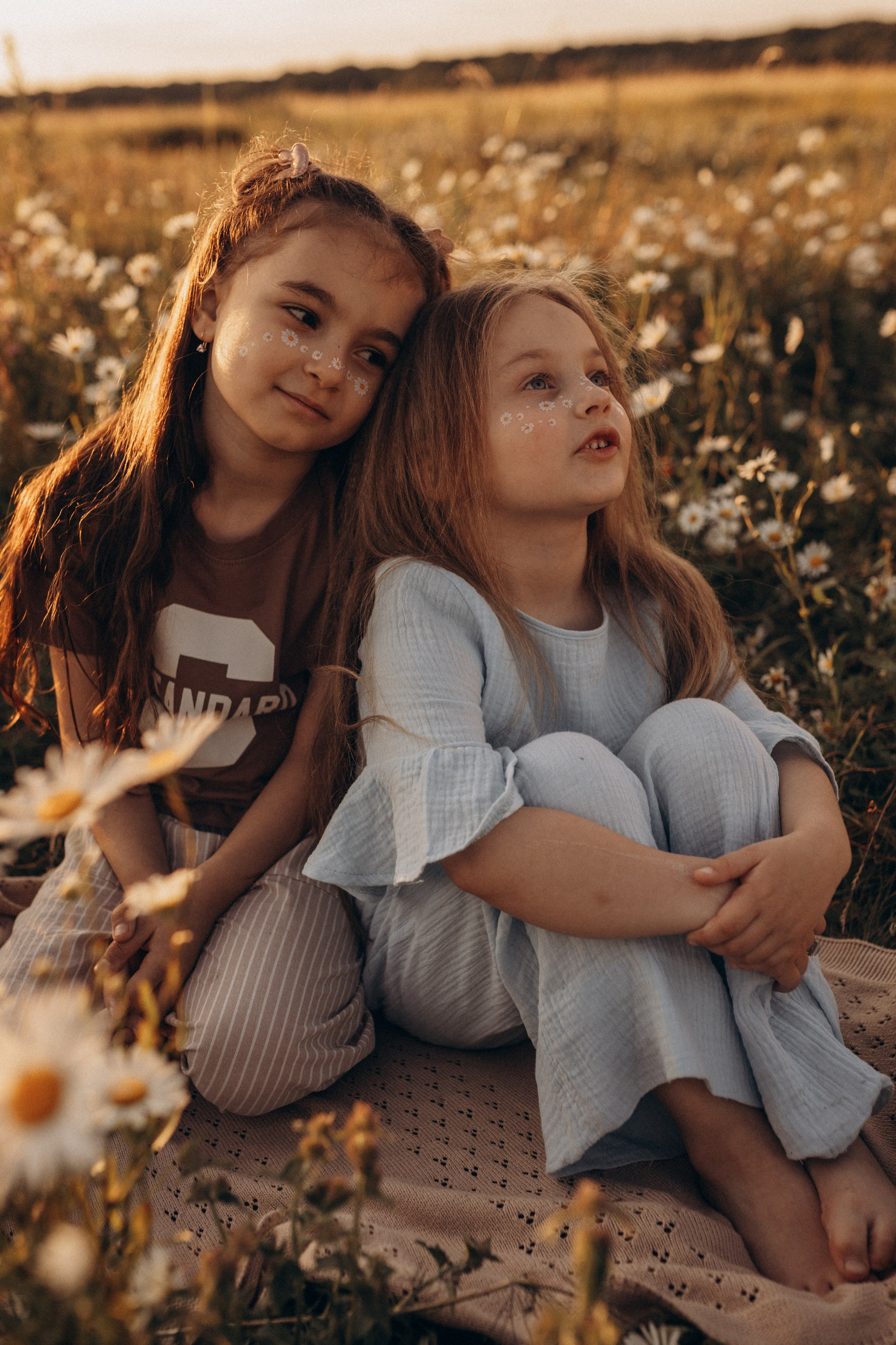 Закат на ромашковом поле. Фотограф в Ставрополе Svetlana Matveeva