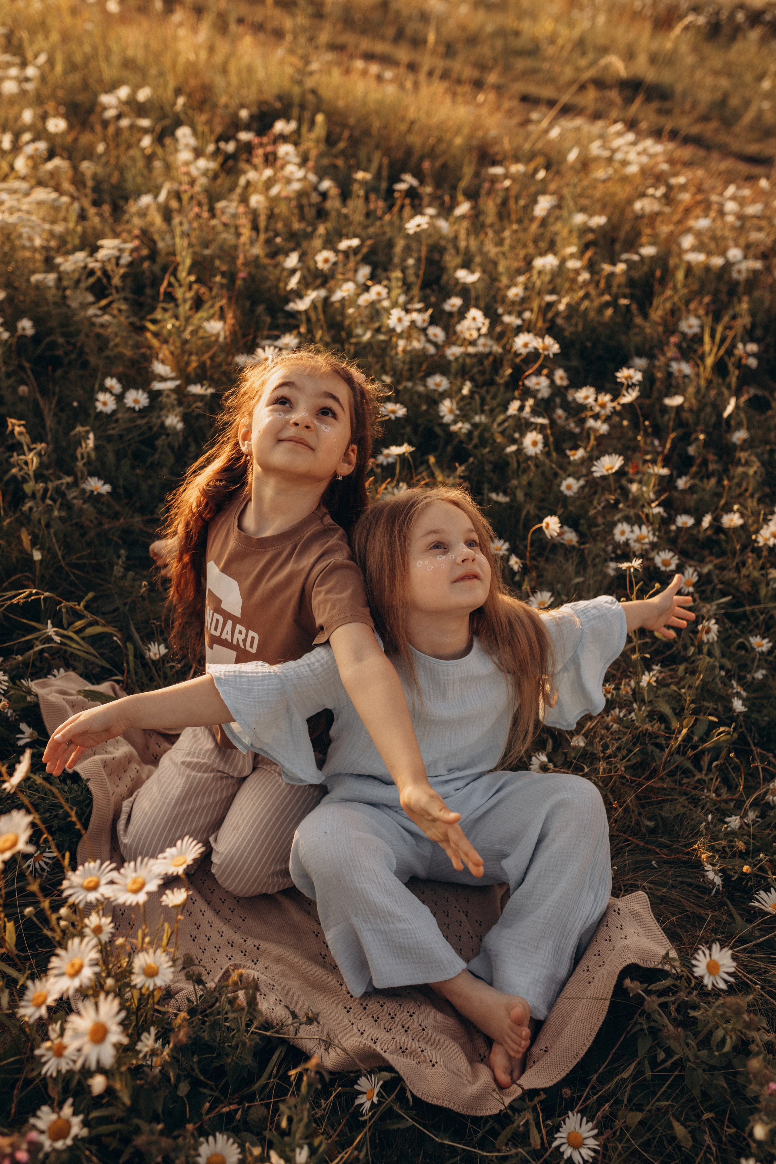 Закат на ромашковом поле. Фотограф в Ставрополе Svetlana Matveeva