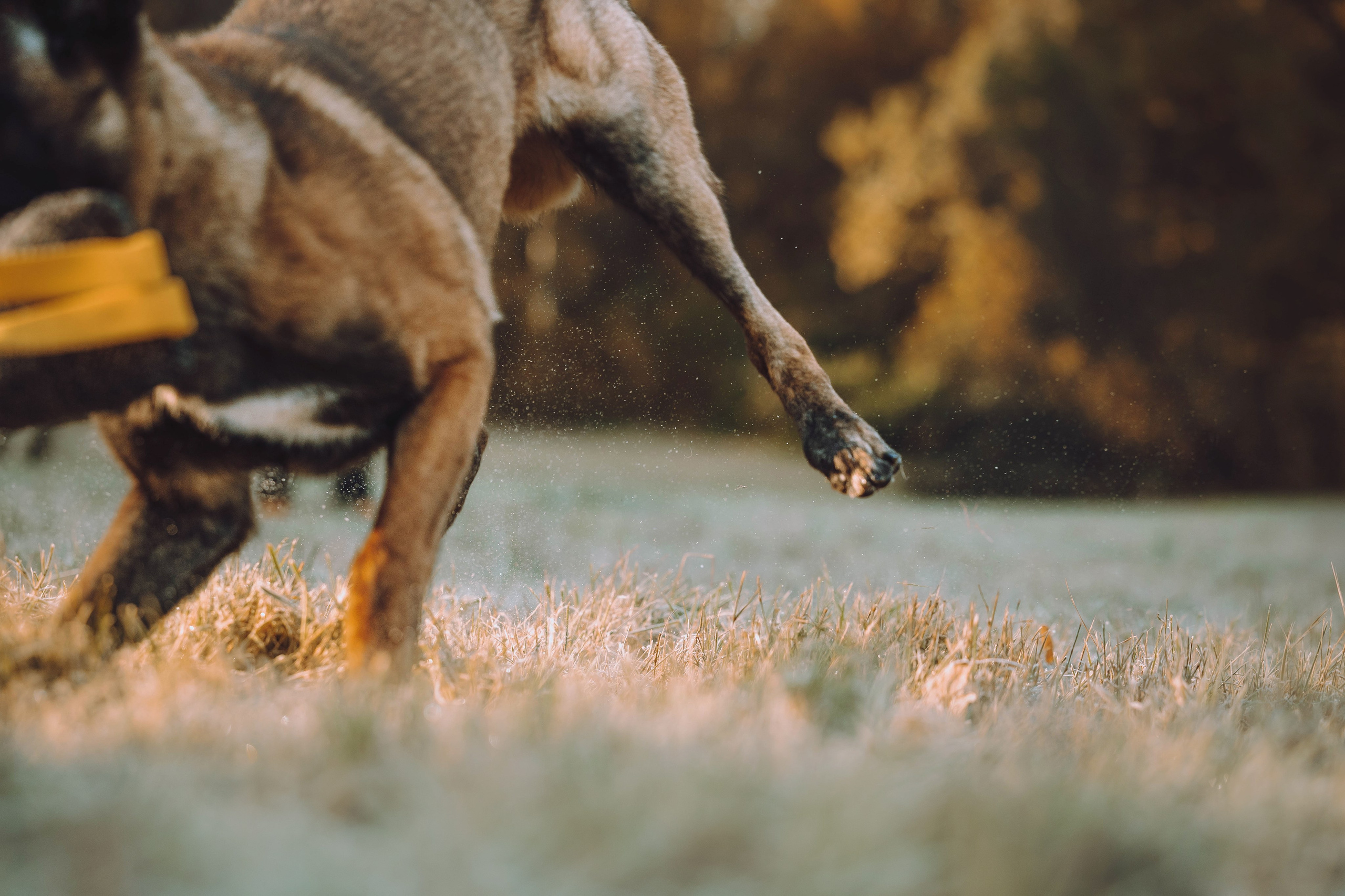 Никита и Ярик