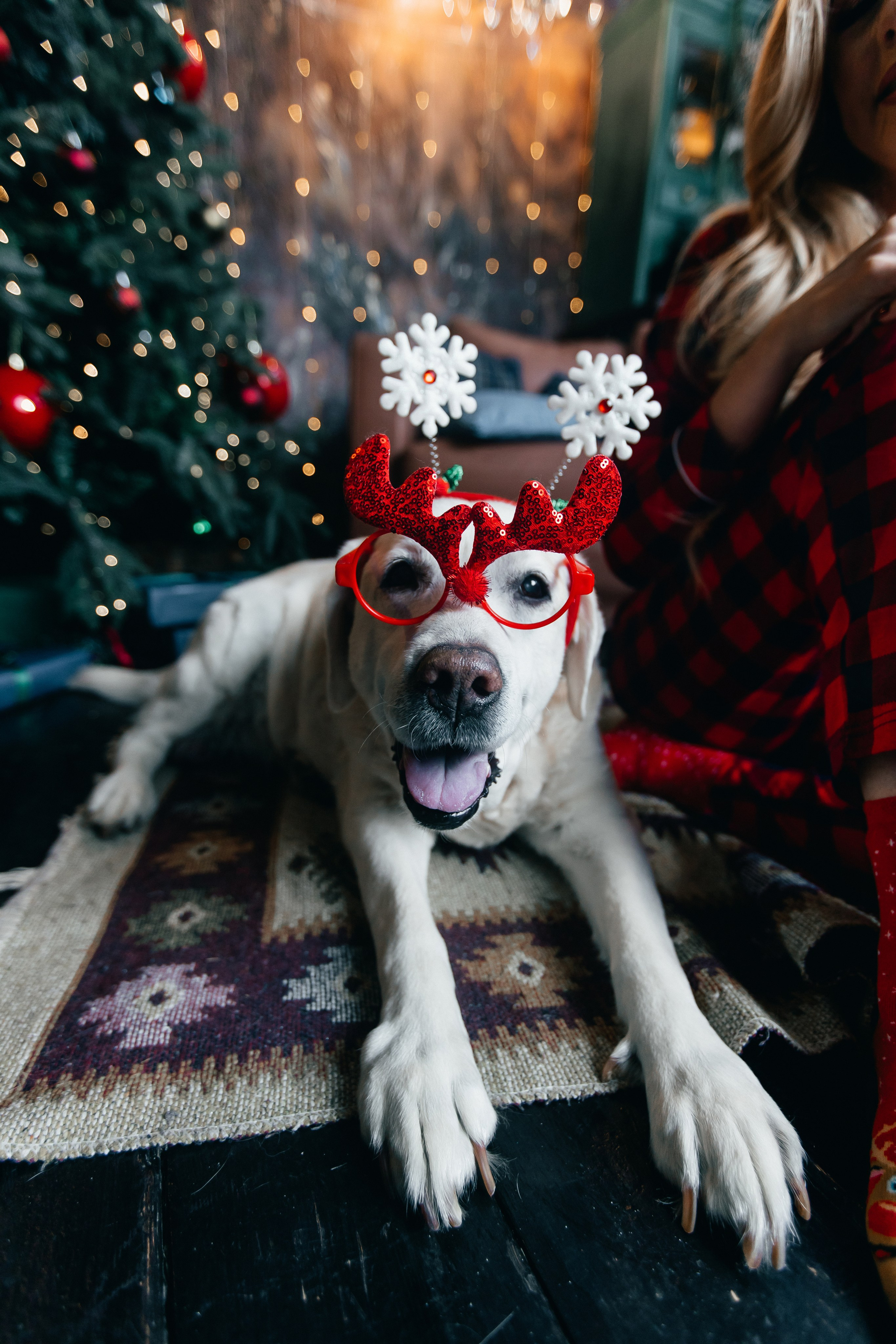 Новогодние фотопроекты. Свадебный и семейный фотограф в Нижнем Новгороде и Москве Сергей Полян