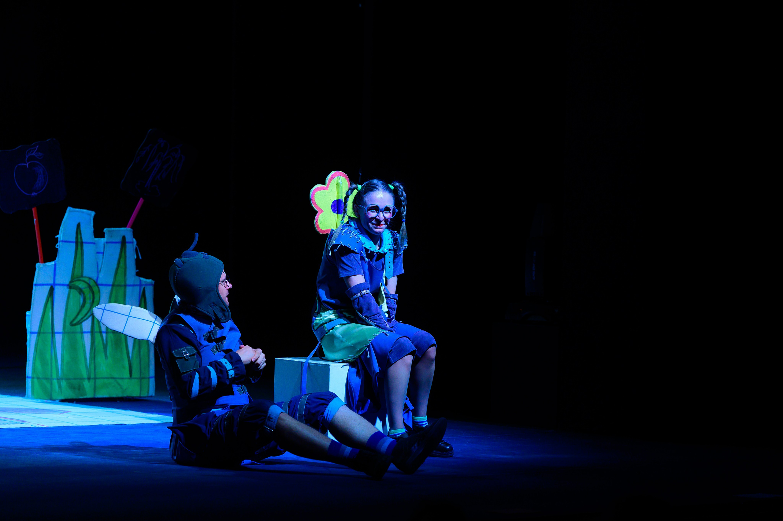 Муха Цокотуха. Фотоуслуги, услуги фотографа, фотографирование важных событий