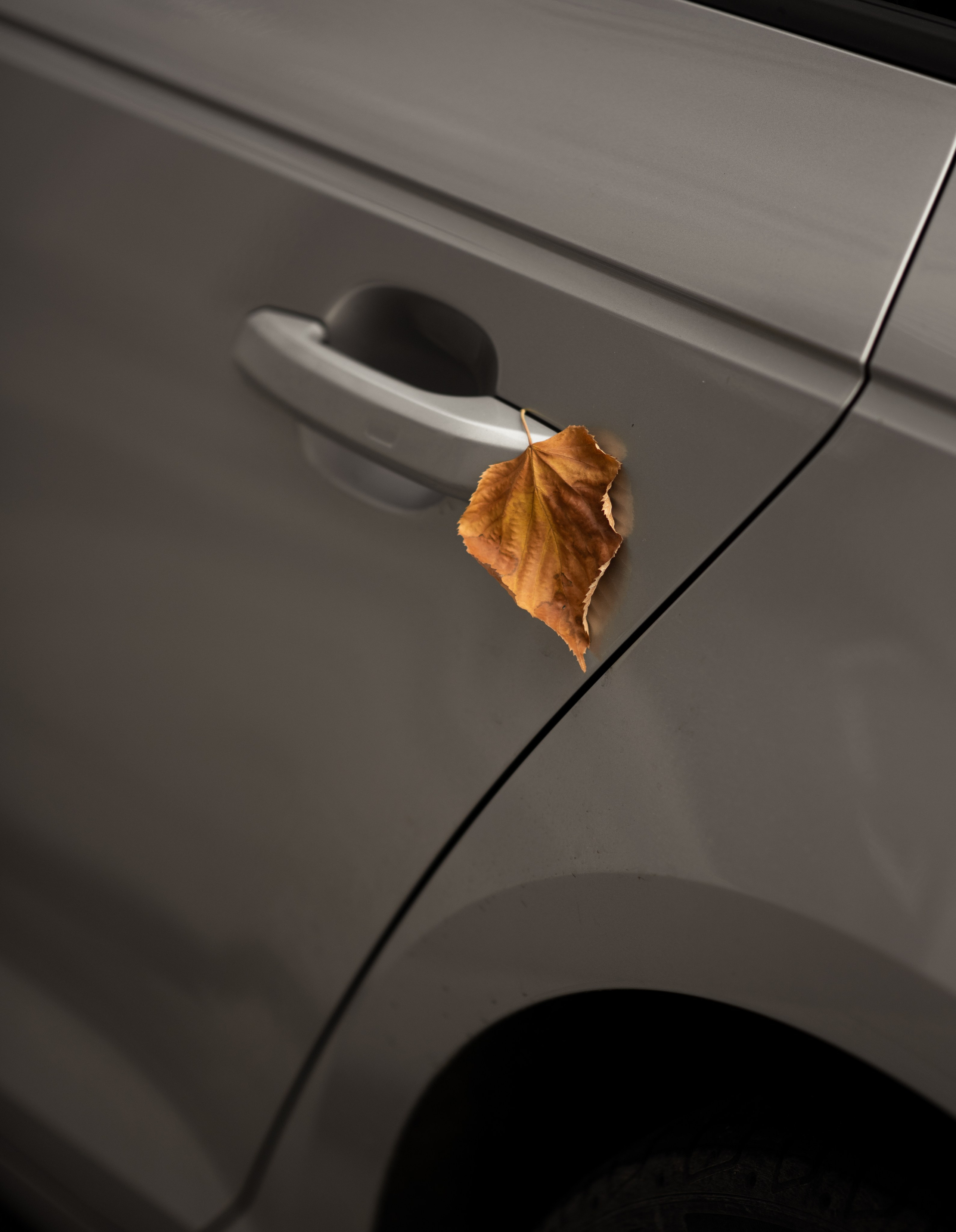 Анна. Фотограф в Москве Мария Терентьева