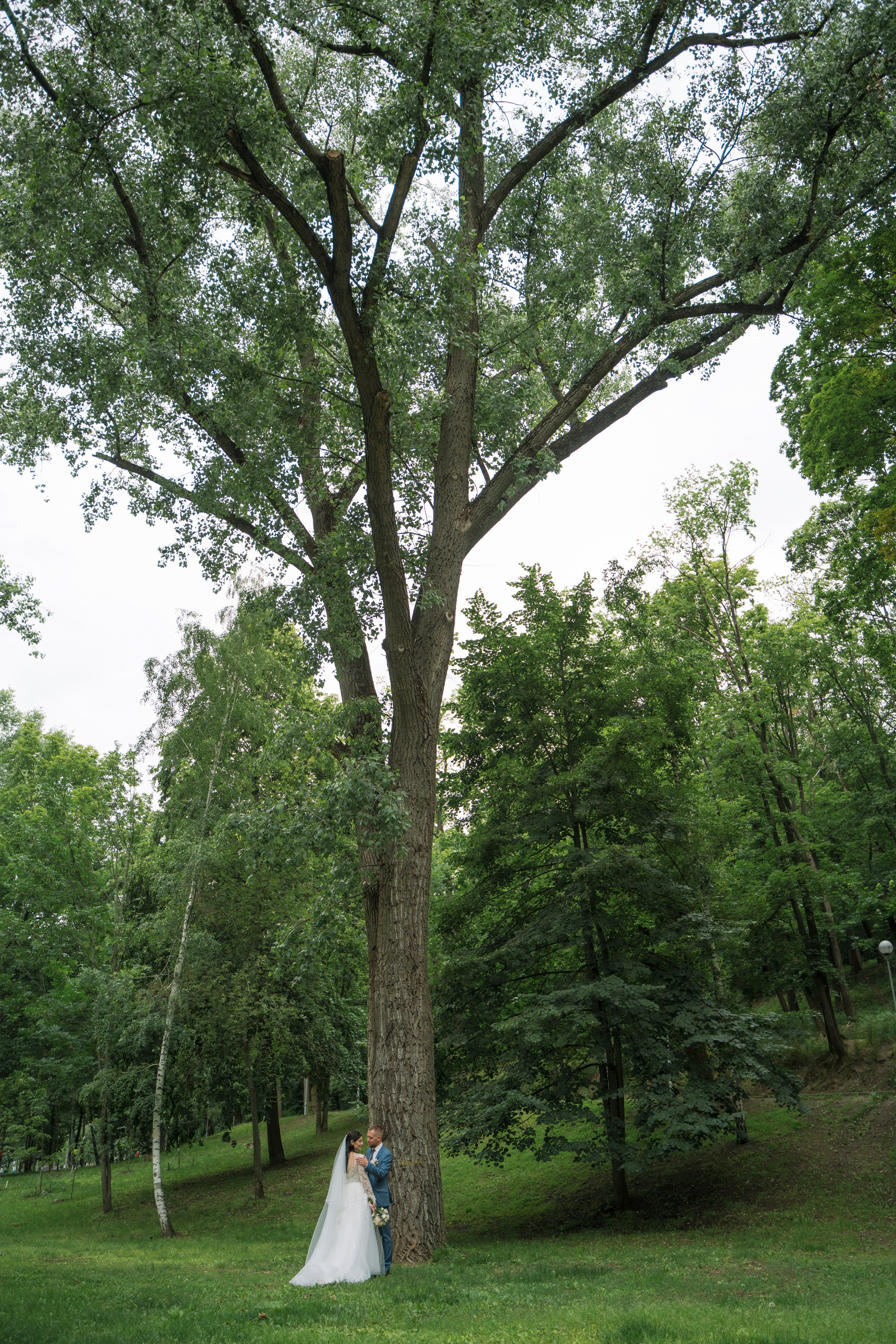 Динамо. Фотограф Мария Зайчик