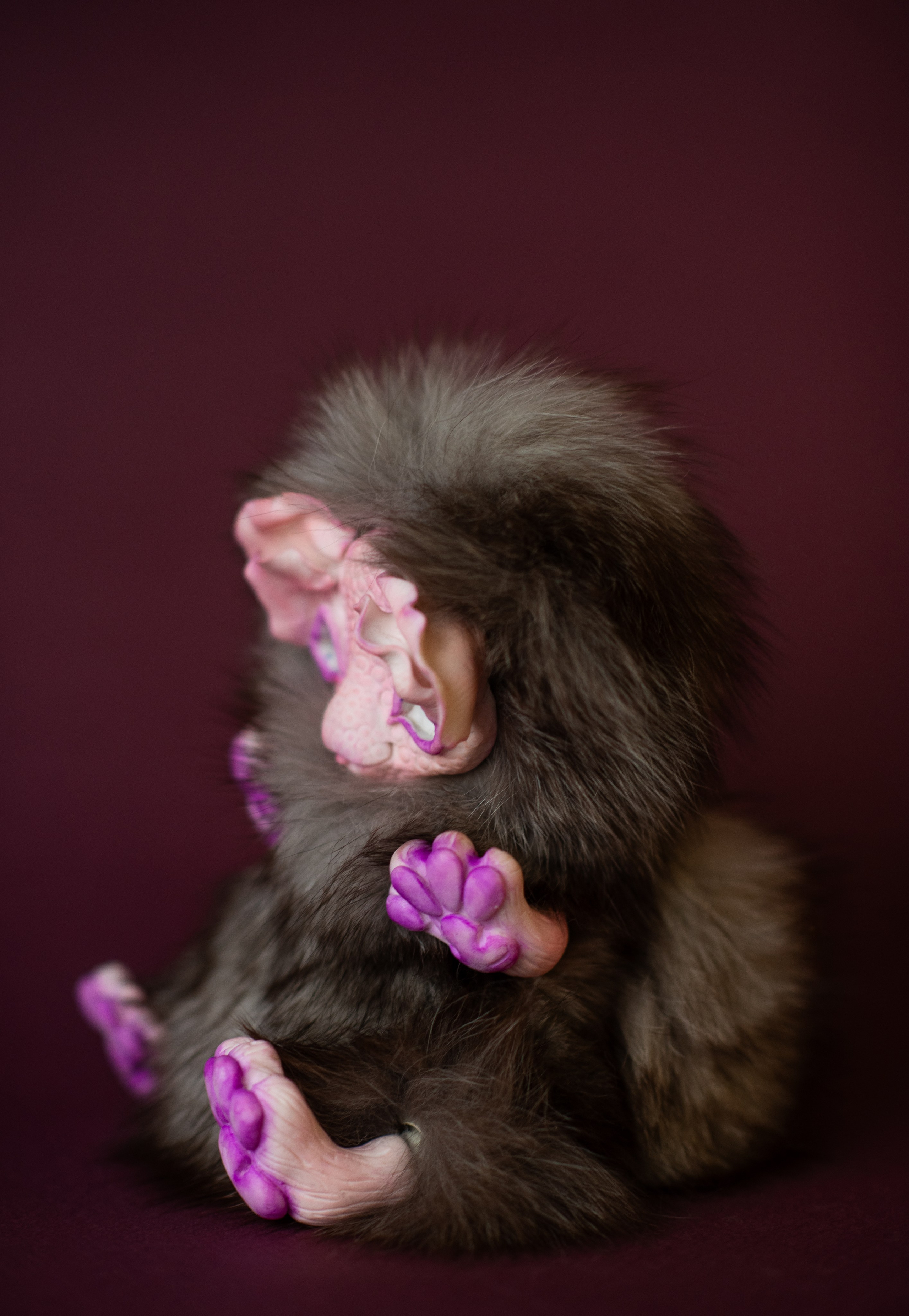 Предметка не на белом фоне. Фотограф в Москве