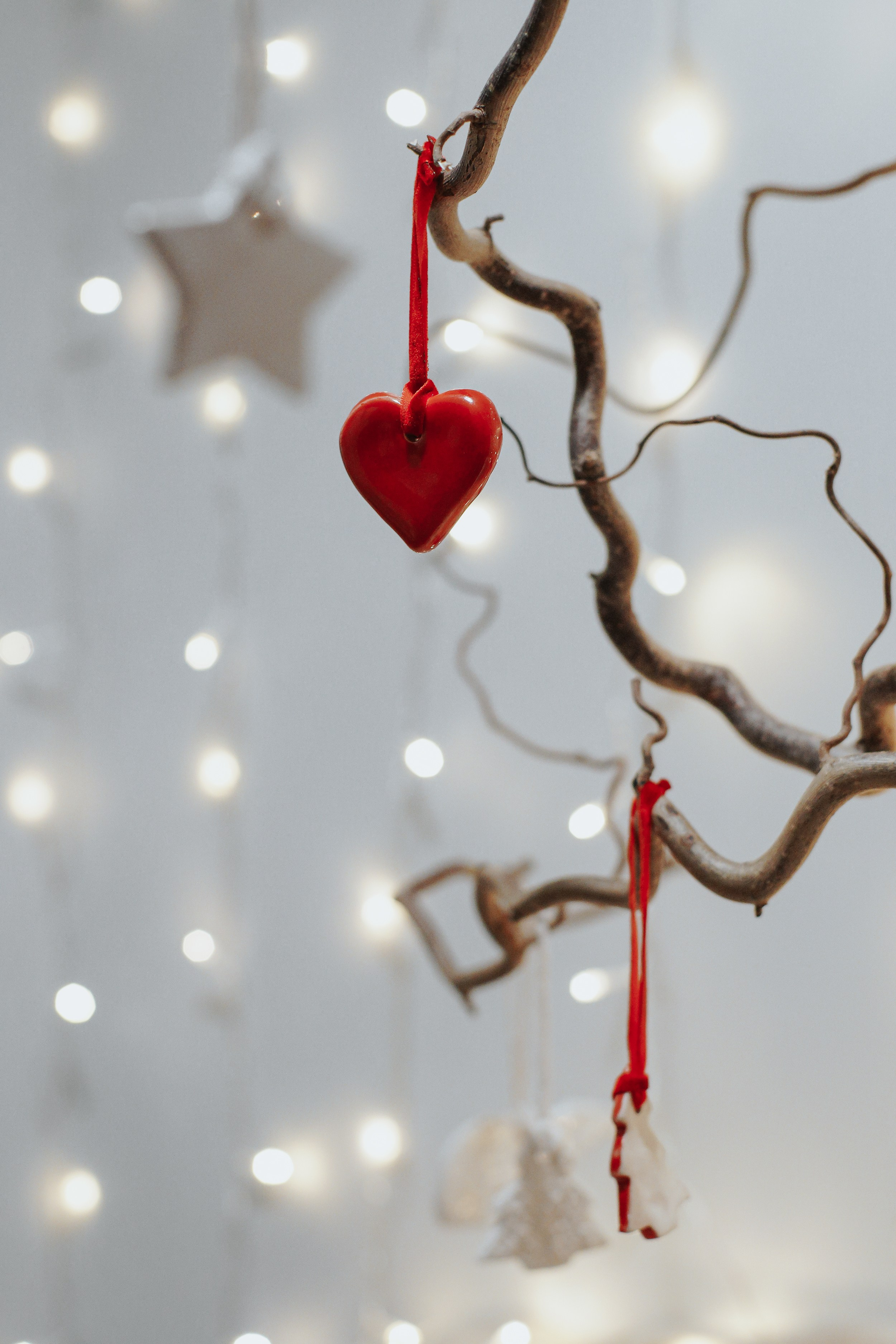 Магазин NOOK. Катя Кудринская. Фотограф на мероприятие СПб. Семейный фотограф