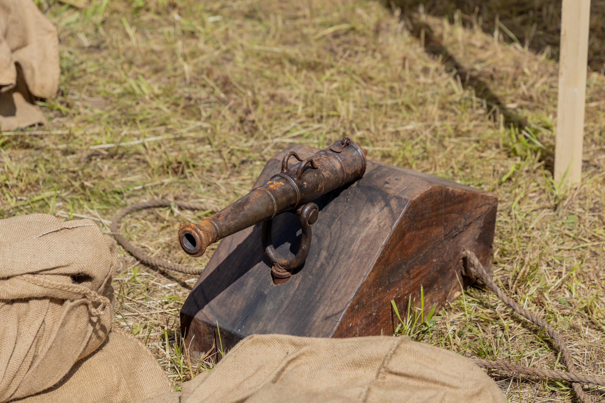 Времена и эпохи 2024. Парк 50-летия Октября. Репортажный, семейный и студийный фотограф в Москве Демин Алексей