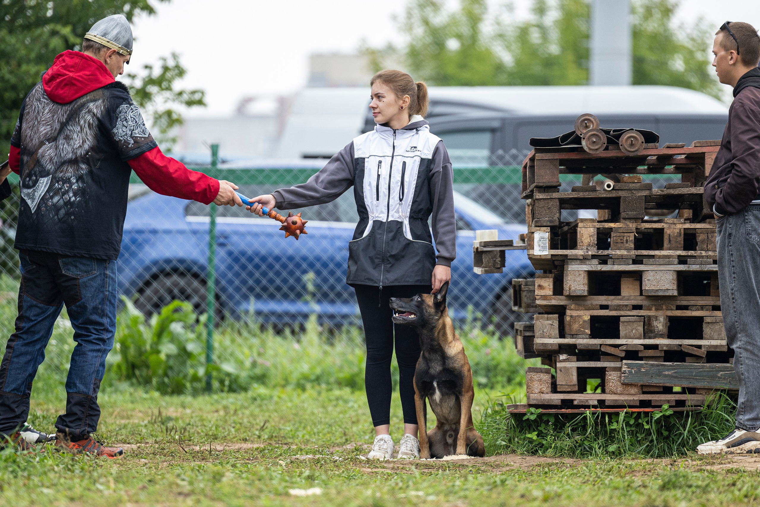Соревнования по Мондьорингу г. Вологда 10-11.08.2024. Фотограф-анималист Анна Маринич