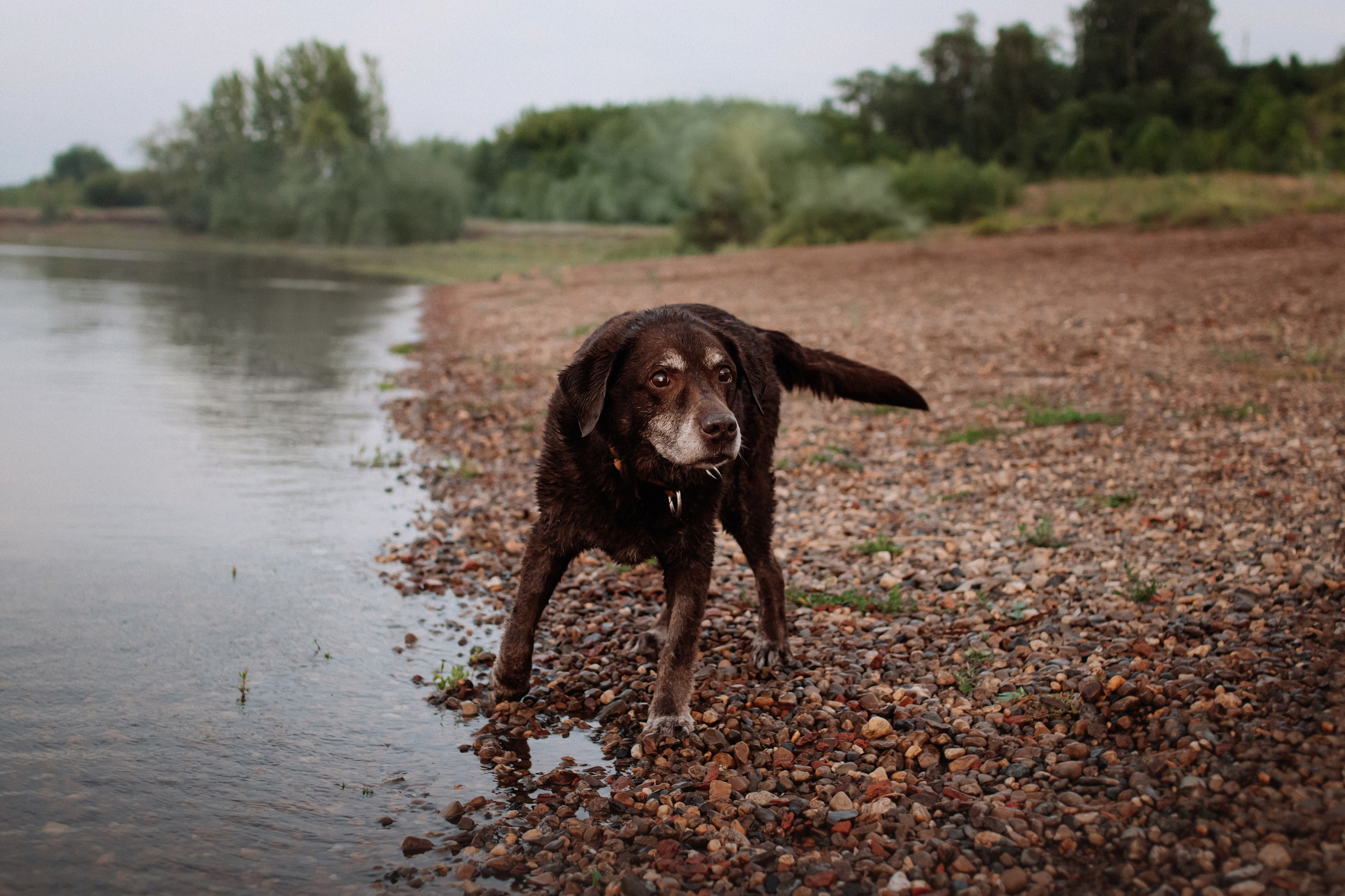 Юля и Свити. Фотограф Наталья Потапова