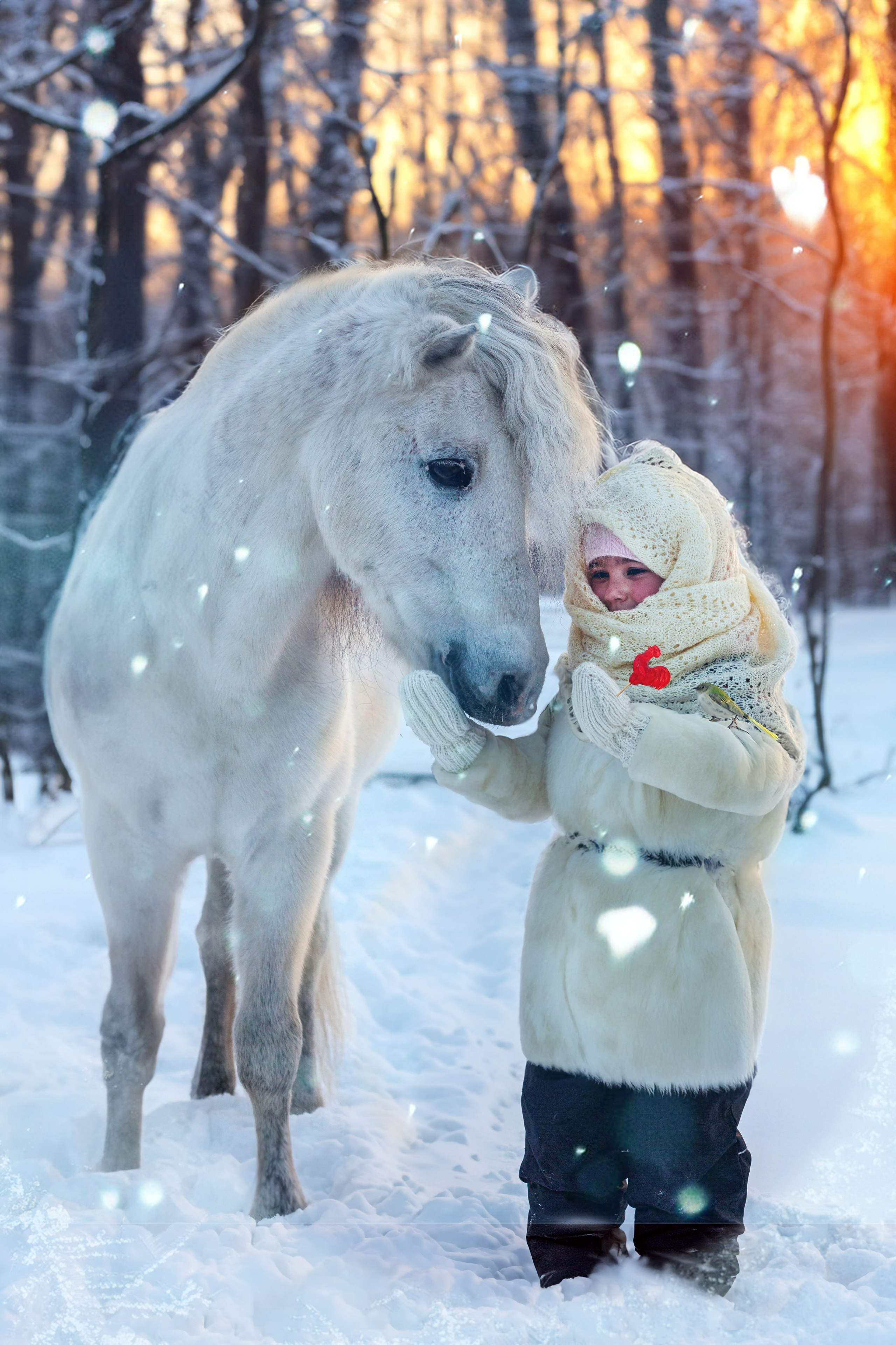 Пони и дети. Конный фотограф в Красноярске — Любовь Похабова